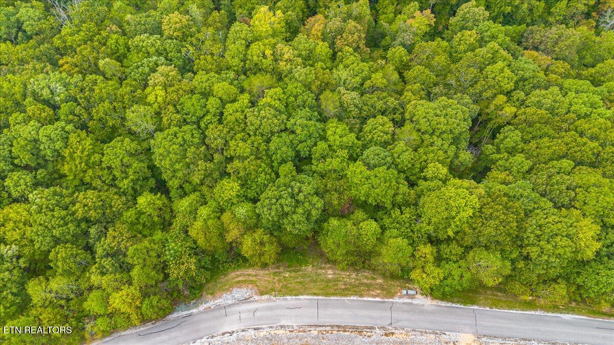Lot 125 Old Hearth Drive Lafollette TN 37766