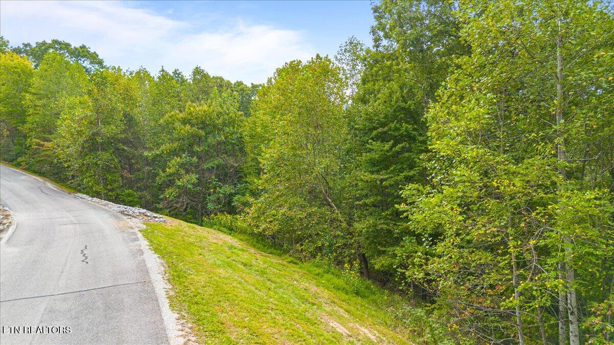Lot 125 Old Hearth Drive Lafollette TN 37766
