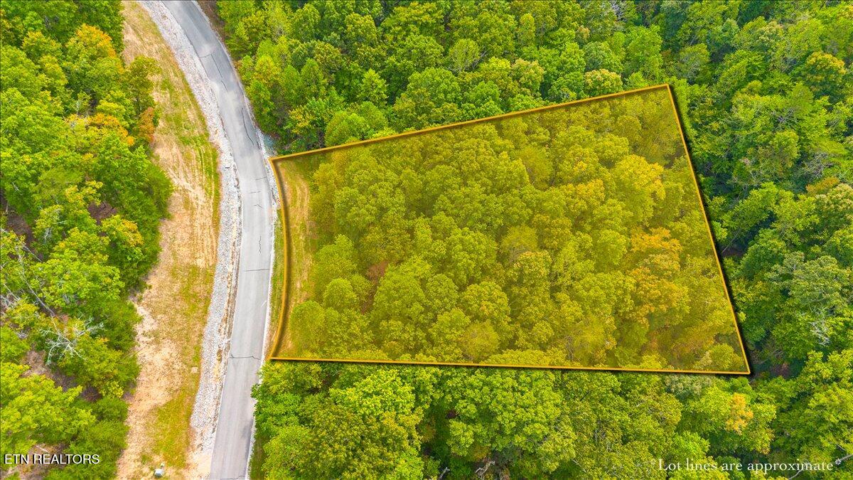 Lot 125 Old Hearth Drive Lafollette TN 37766