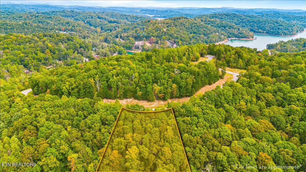 Lot 125 Old Hearth Drive Lafollette TN 37766