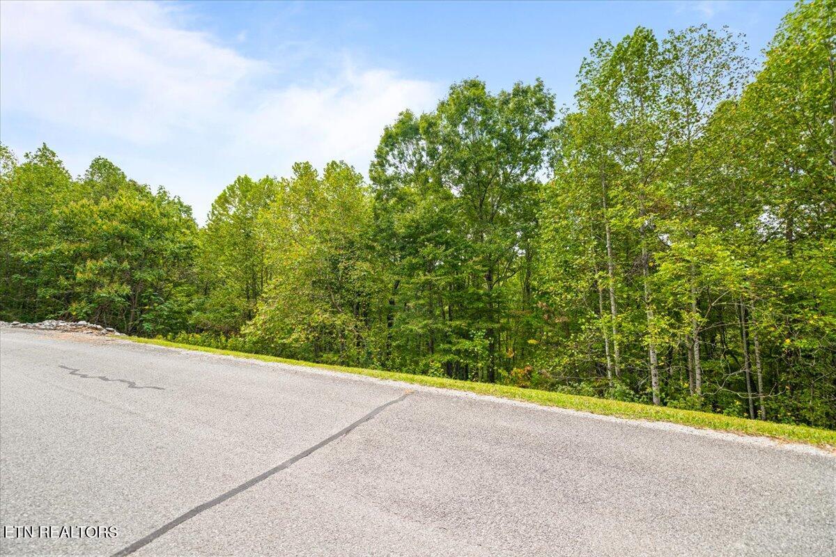 Lot 125 Old Hearth Drive Lafollette TN 37766