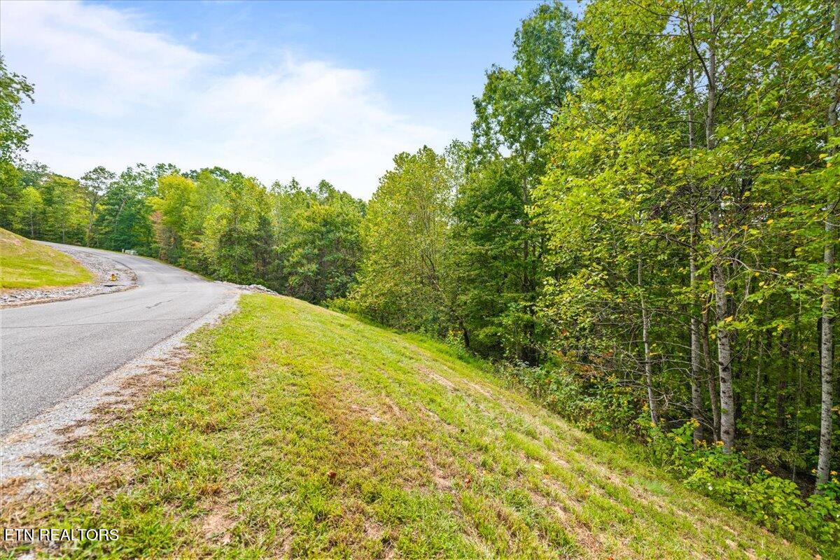 Lot 125 Old Hearth Drive Lafollette TN 37766