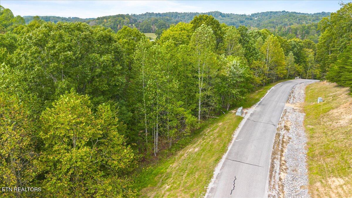 Lot 125 Old Hearth Drive Lafollette TN 37766
