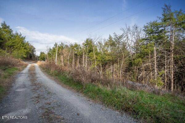0 Martins Creek Highway Granville TN 38564