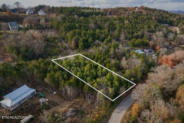 0 Martins Creek Highway Granville TN 38564