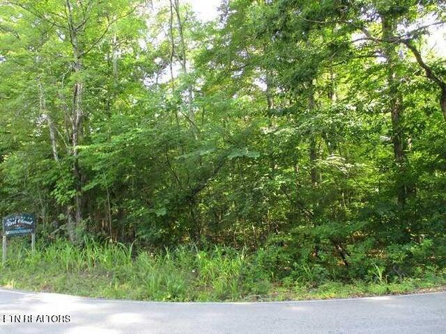 Lot 12 Red Cloud Road Ten Mile TN 37880