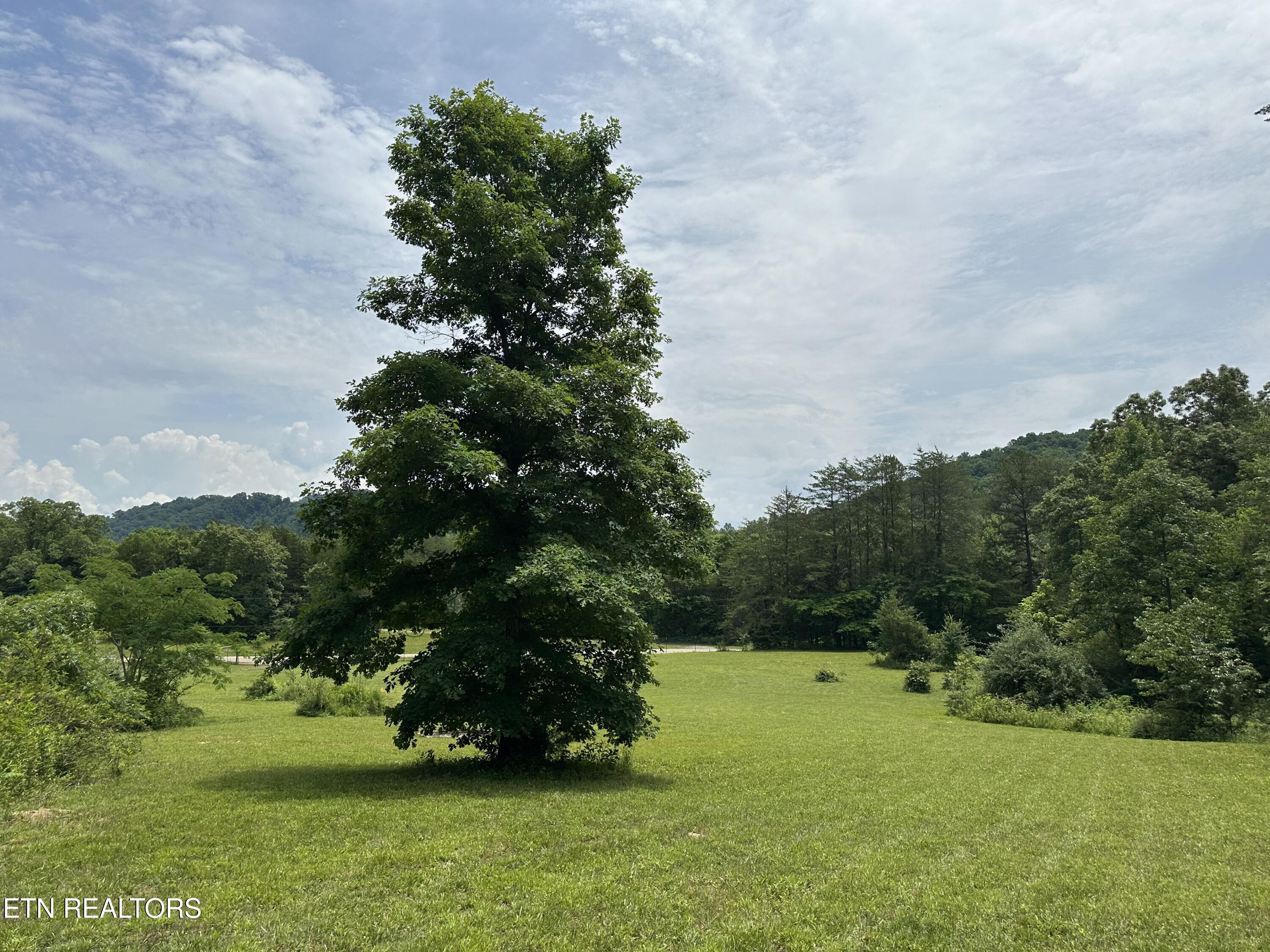 2163 Fairview Road Tellico Plains TN 37385