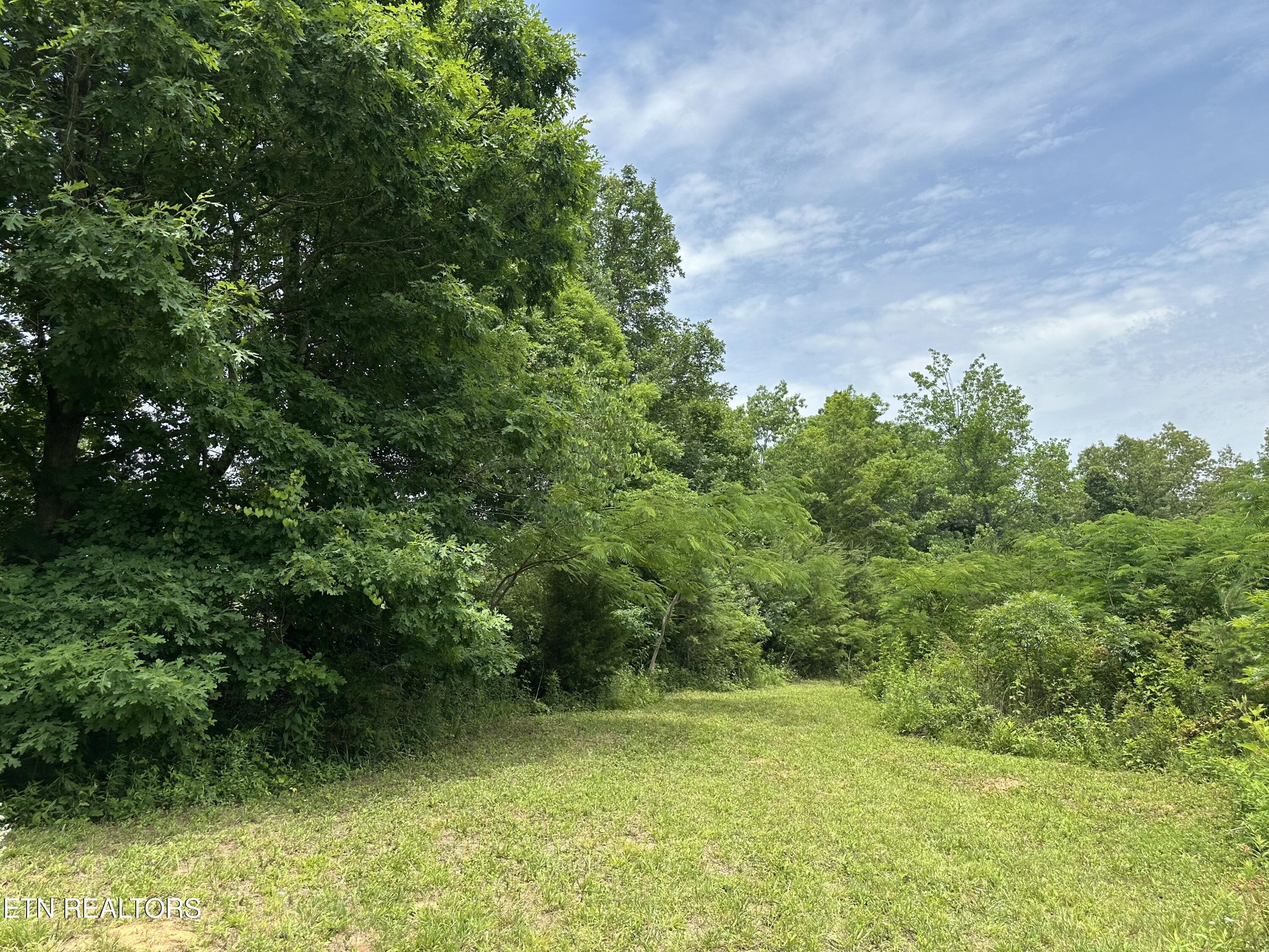 2163 Fairview Road Tellico Plains TN 37385