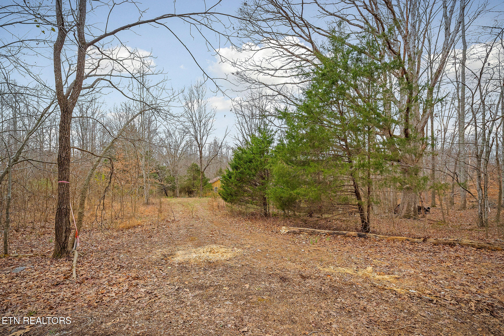 3944 Crawford Road Silver Point TN 38582