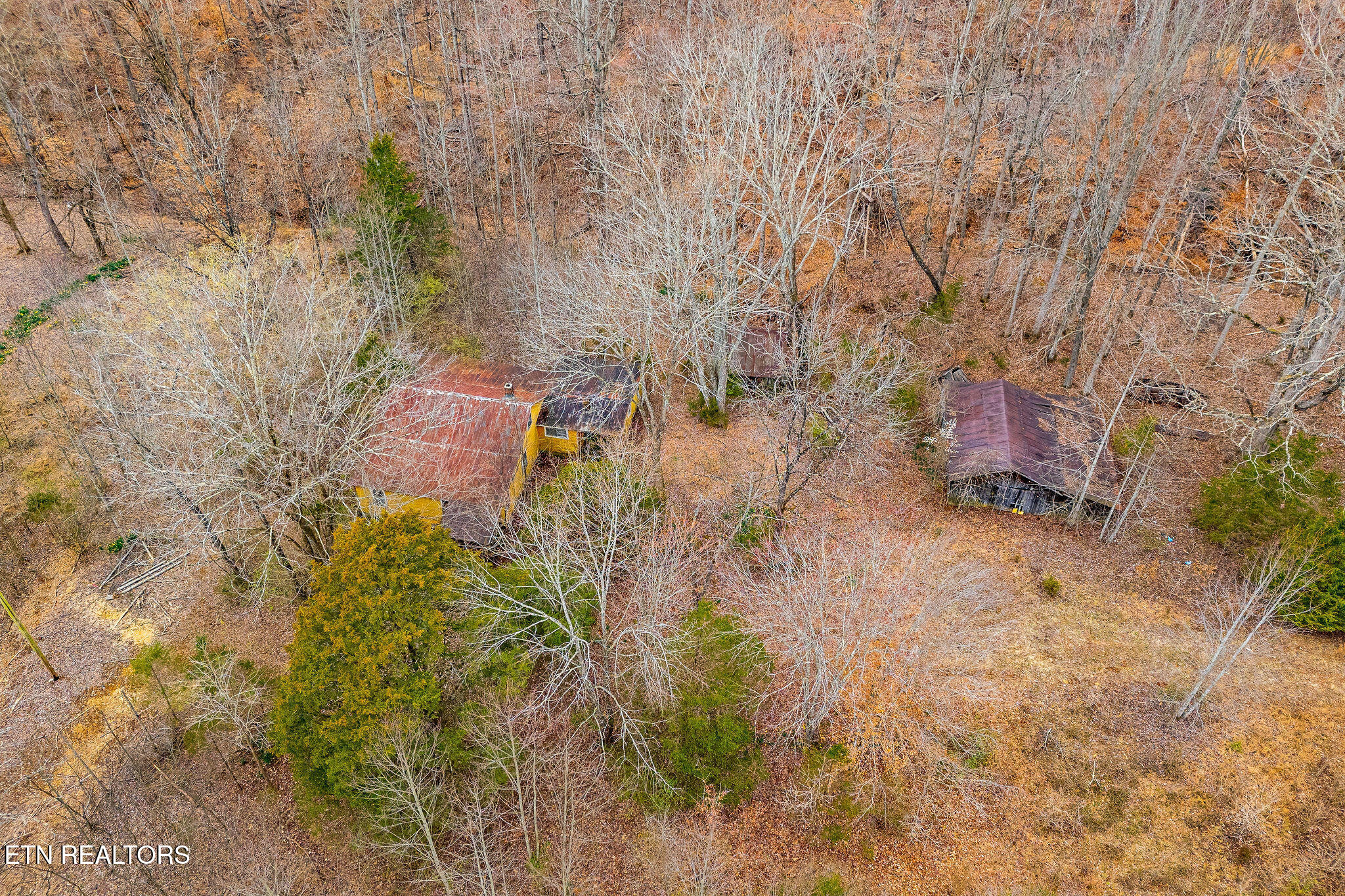 3944 Crawford Road Silver Point TN 38582