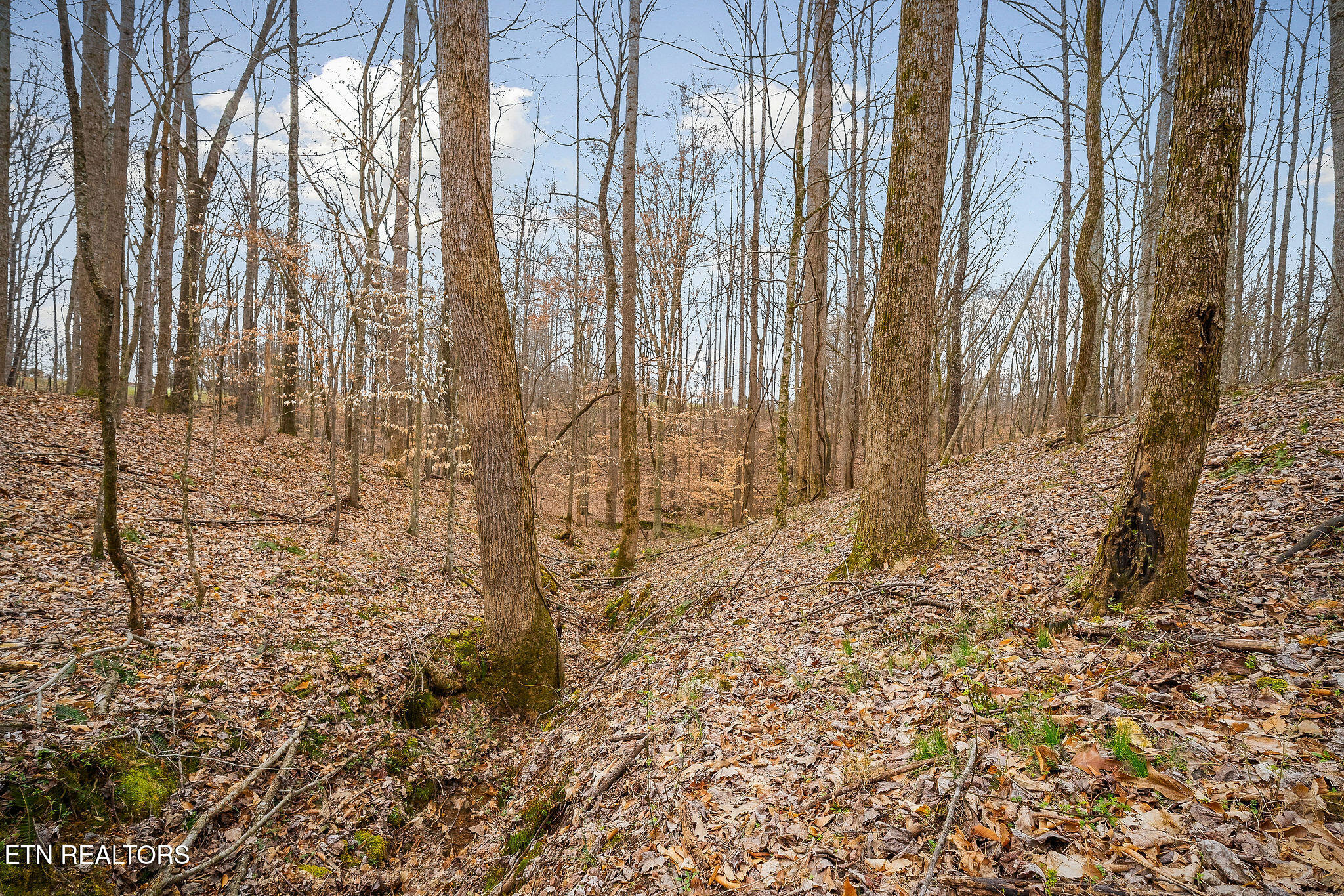 3944 Crawford Road Silver Point TN 38582