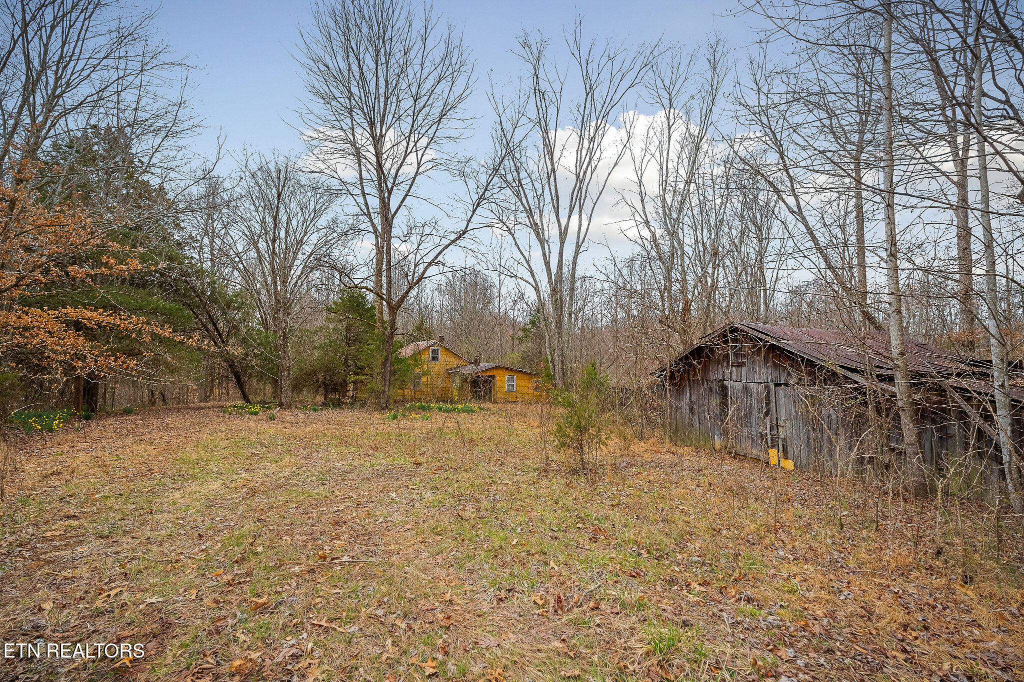 3944 Crawford Road Silver Point TN 38582
