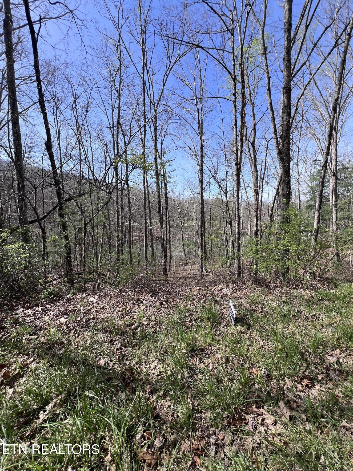 0.19 Ac Hickory Hollow Road Crossville TN 38572