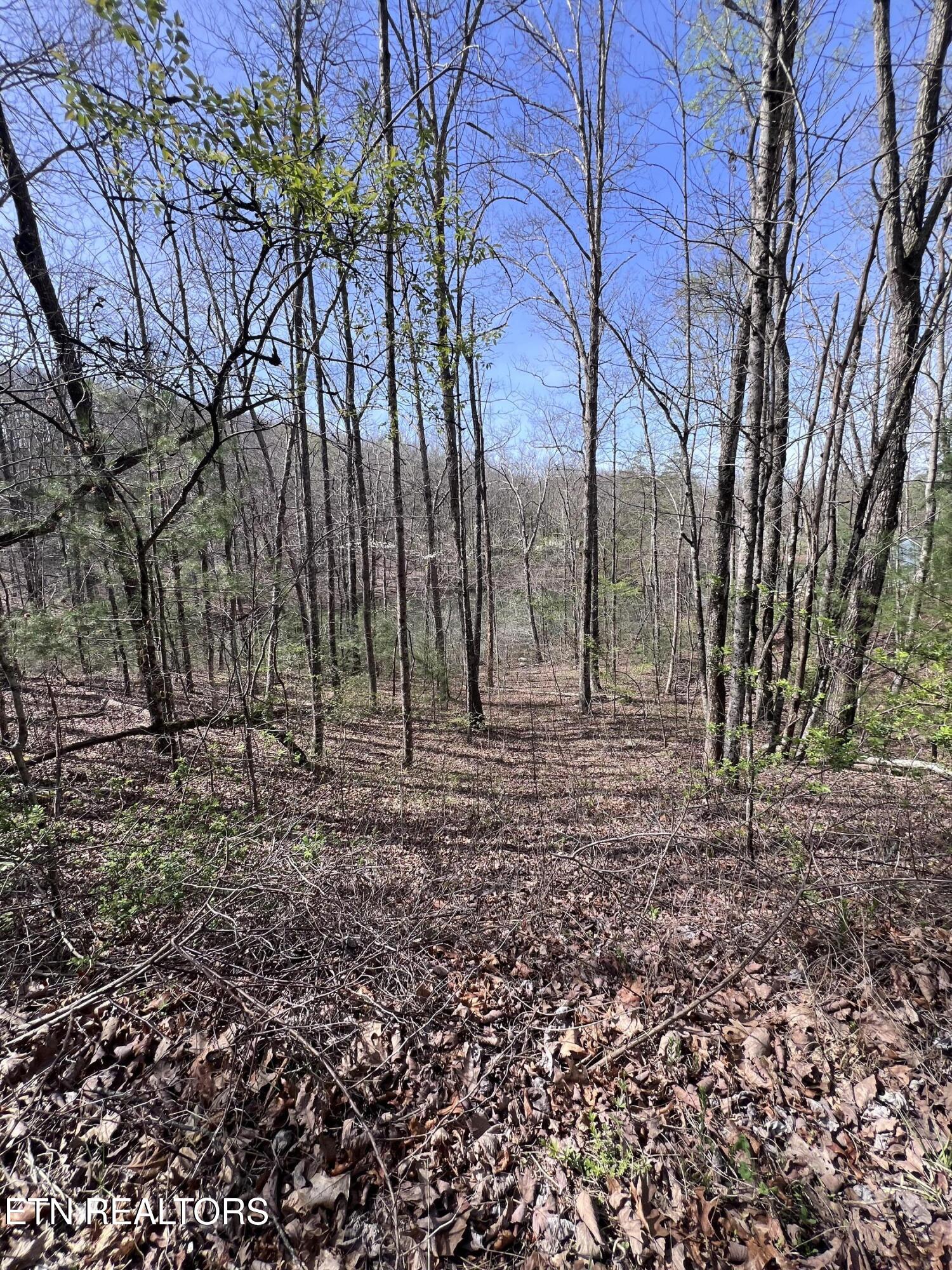 0.19 Ac Hickory Hollow Road Crossville TN 38572