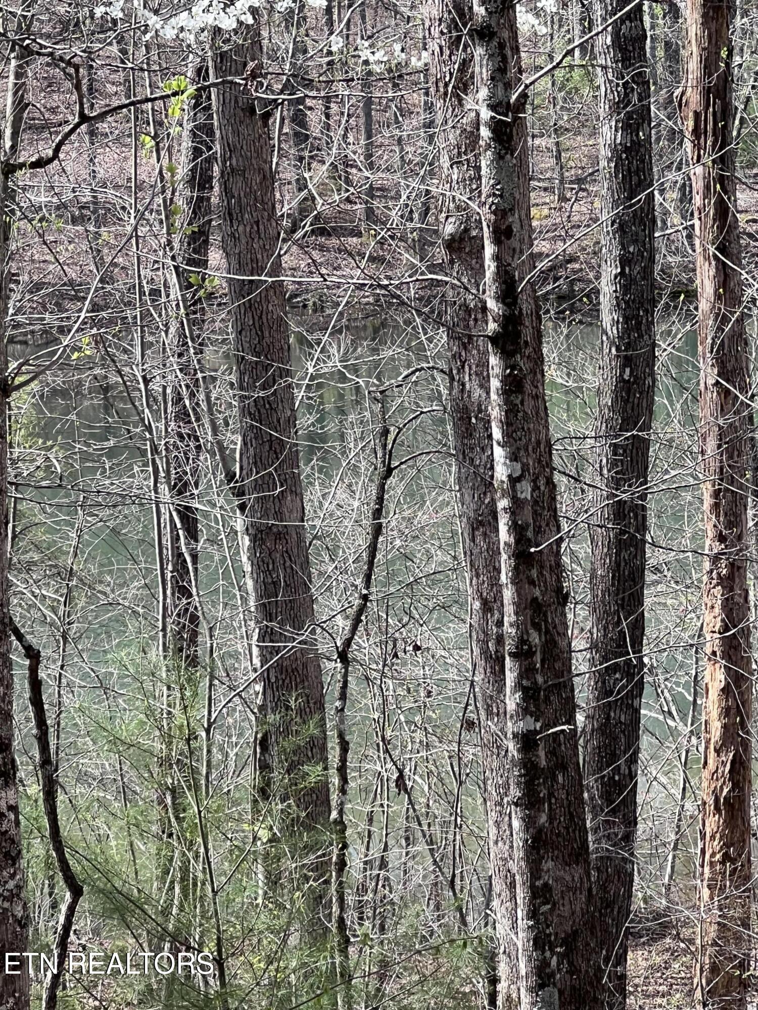 0.19 Ac Hickory Hollow Road Crossville TN 38572