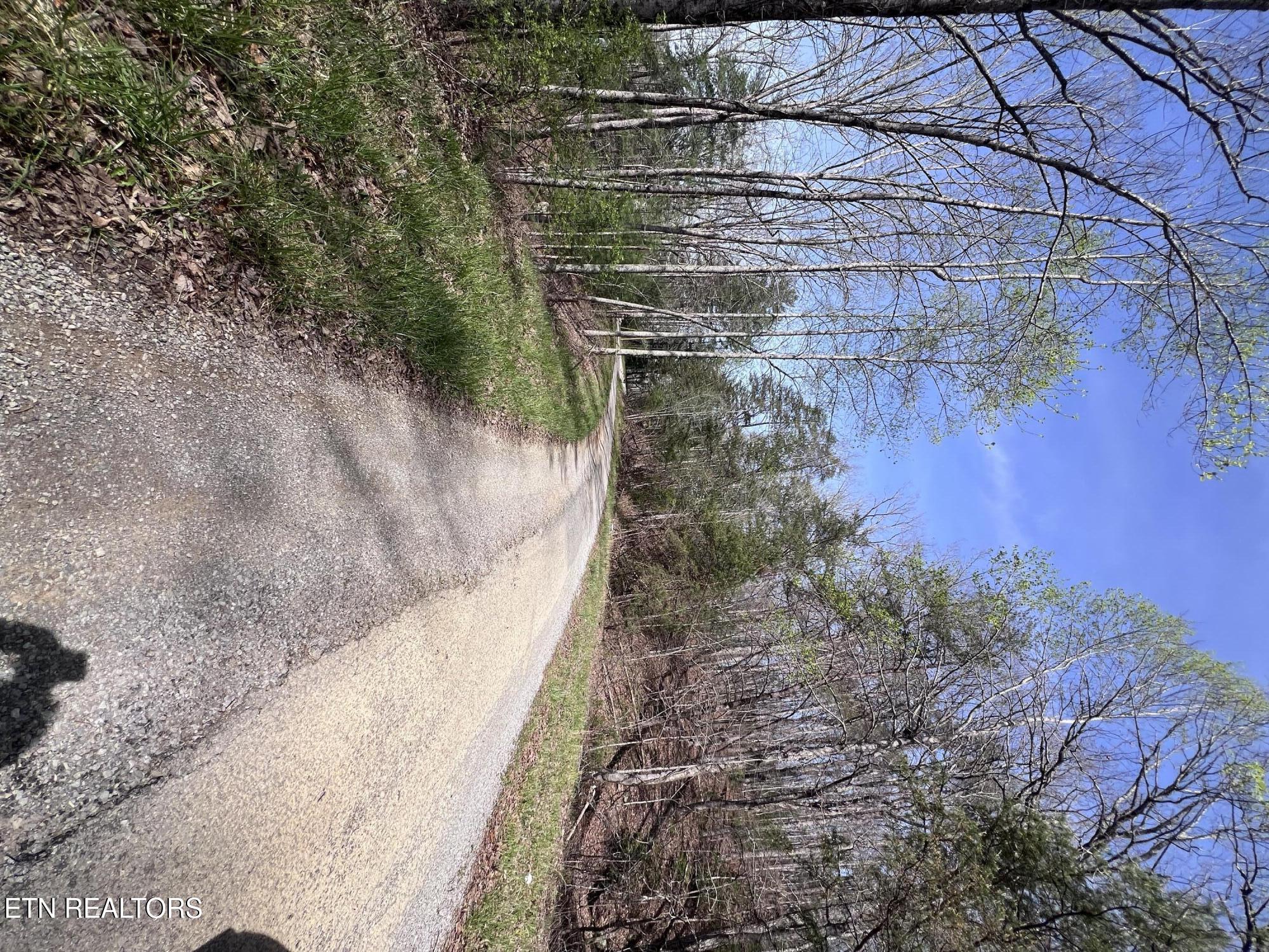0.19 Ac Hickory Hollow Road Crossville TN 38572