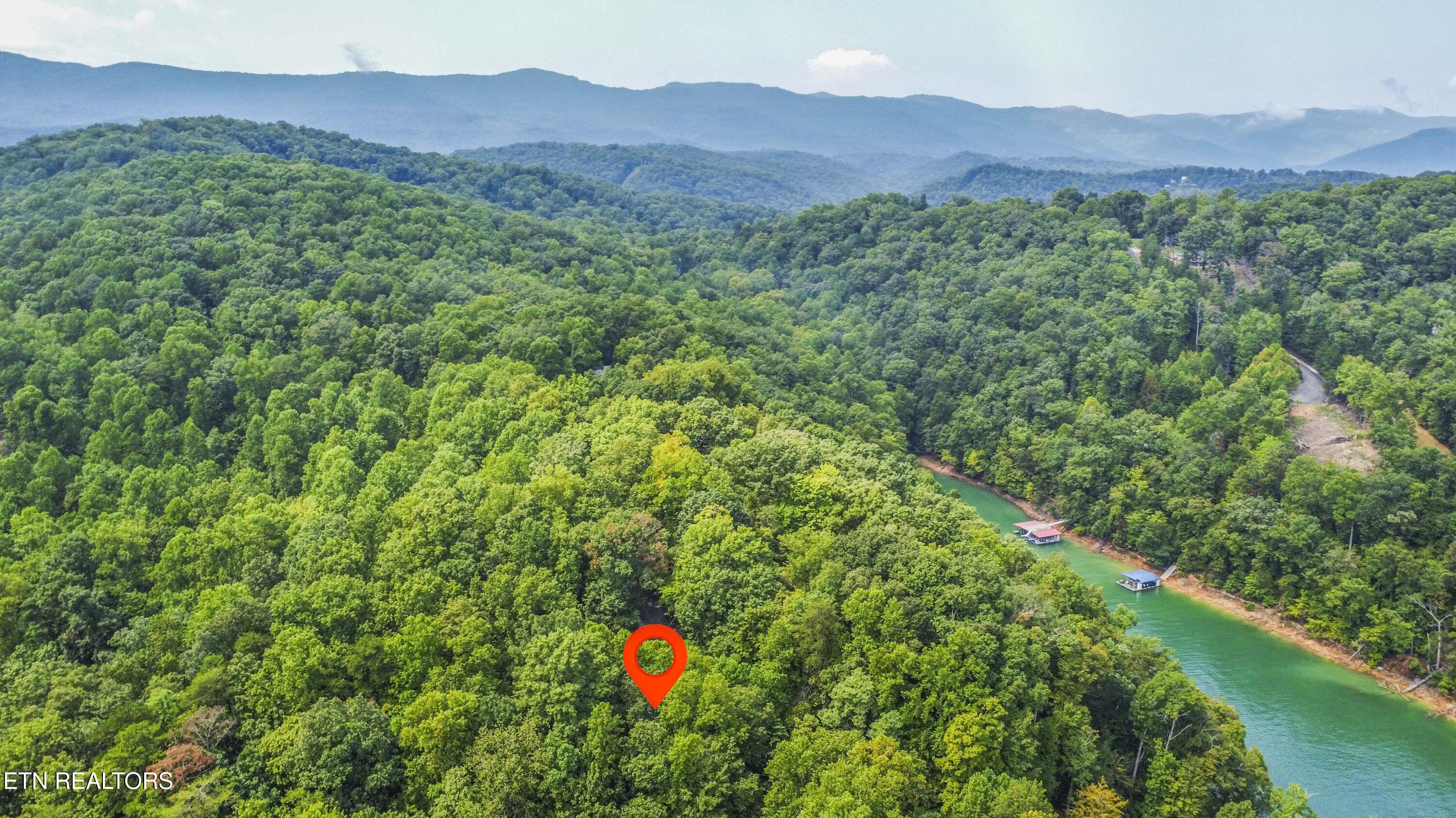 S Shorewood Lane Caryville TN 37714