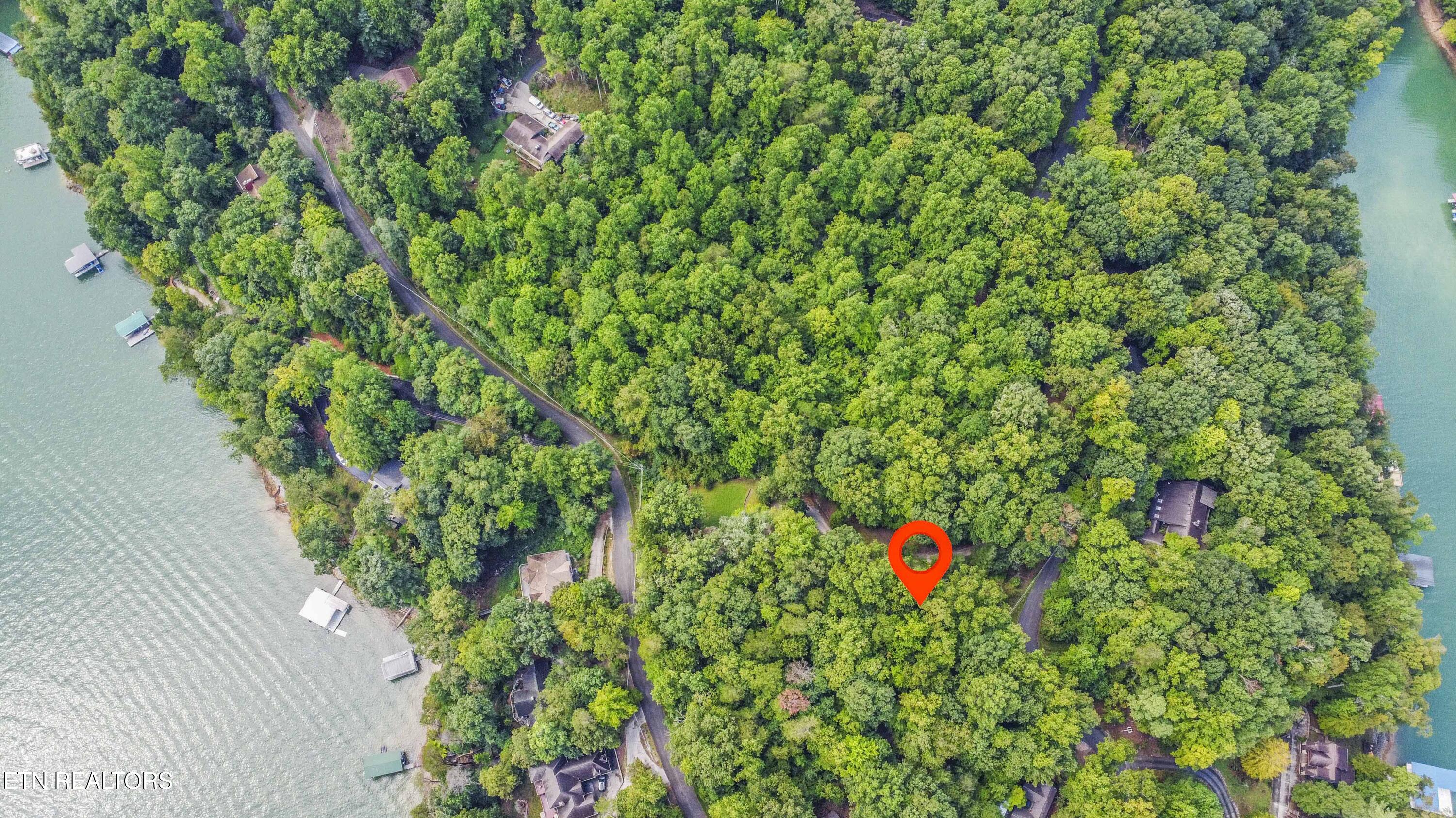 S Shorewood Lane Caryville TN 37714