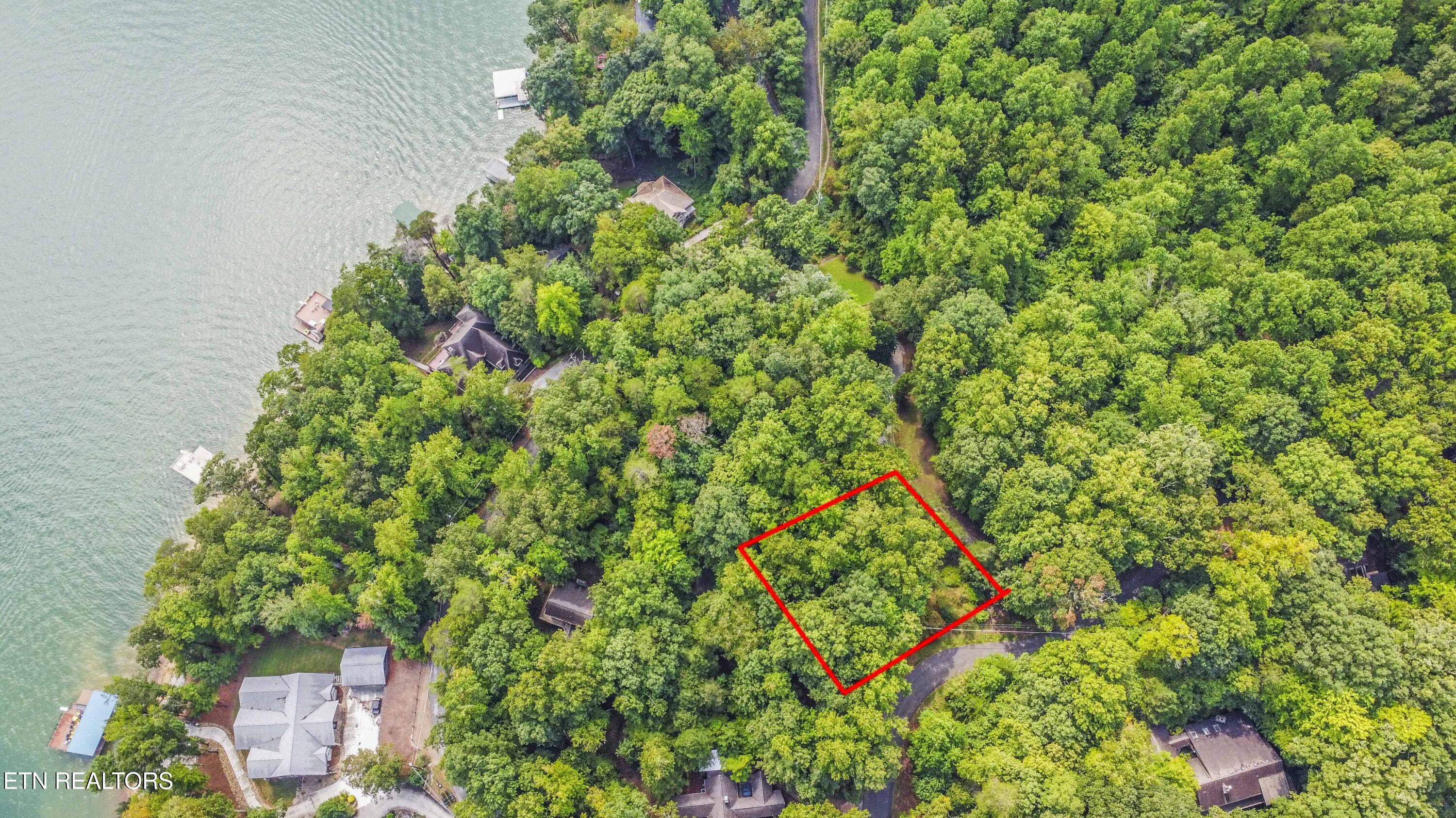 S Shorewood Lane Caryville TN 37714