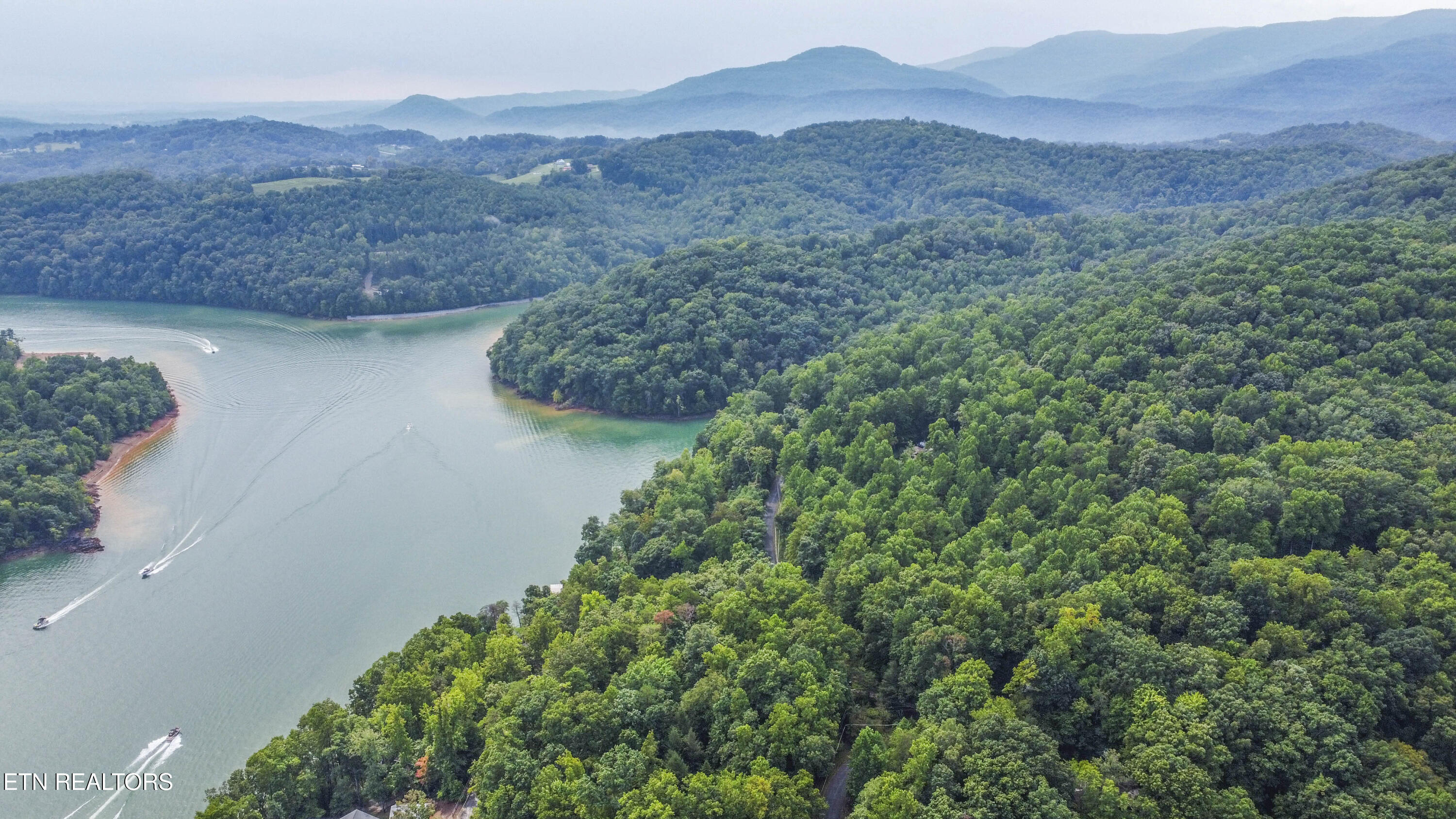 S Shorewood Lane Caryville TN 37714