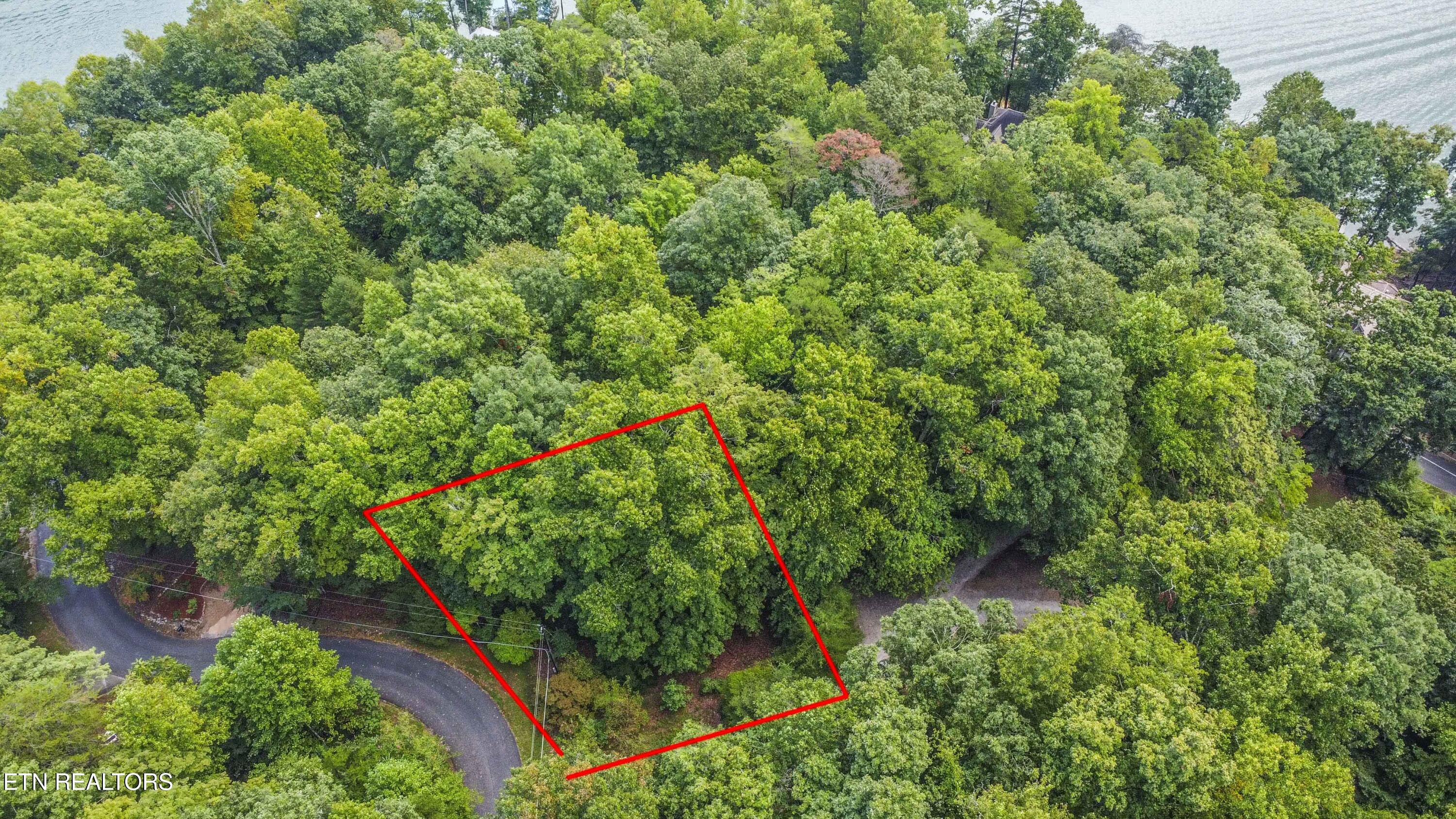 S Shorewood Lane Caryville TN 37714