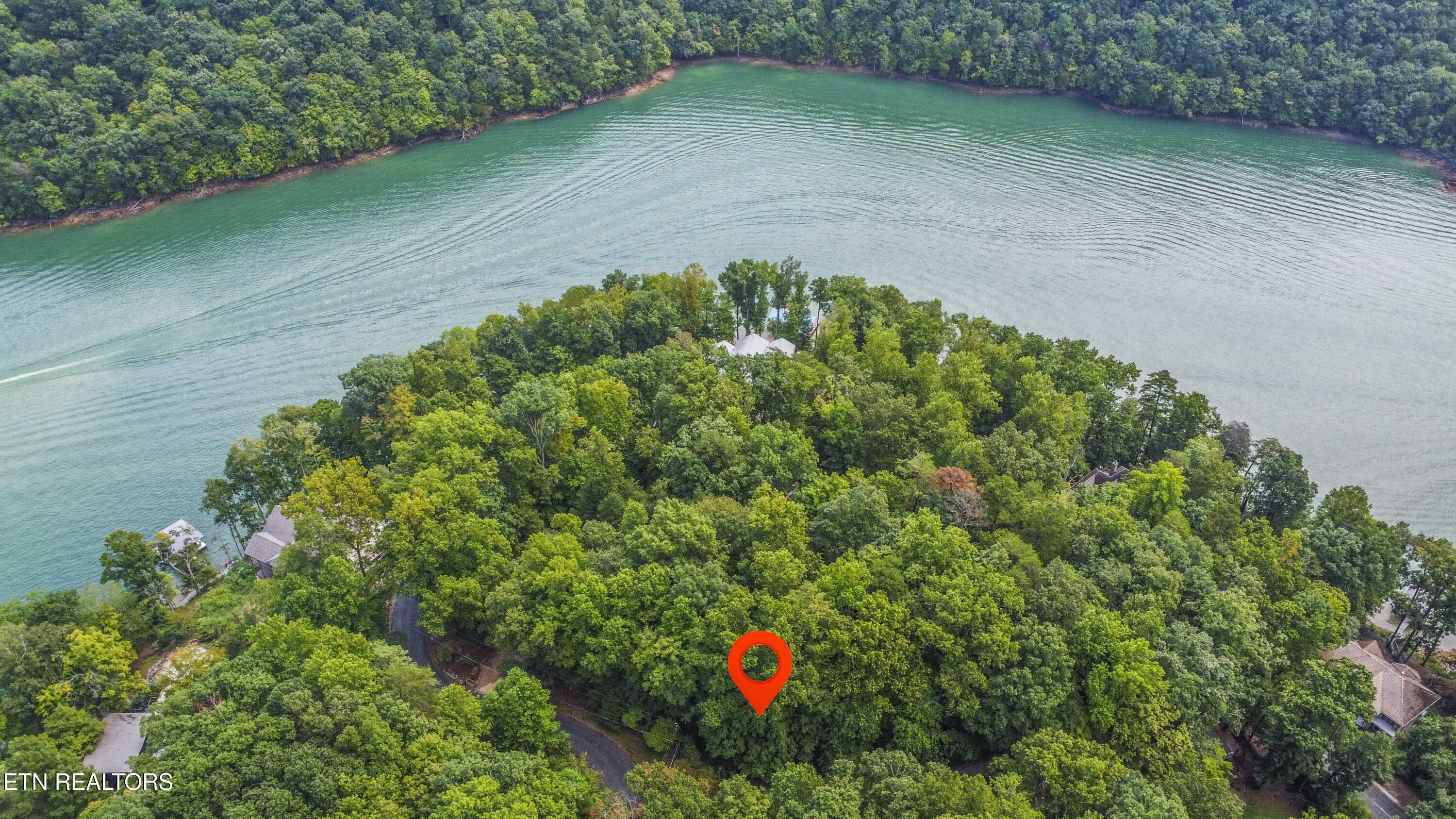 S Shorewood Lane Caryville TN 37714