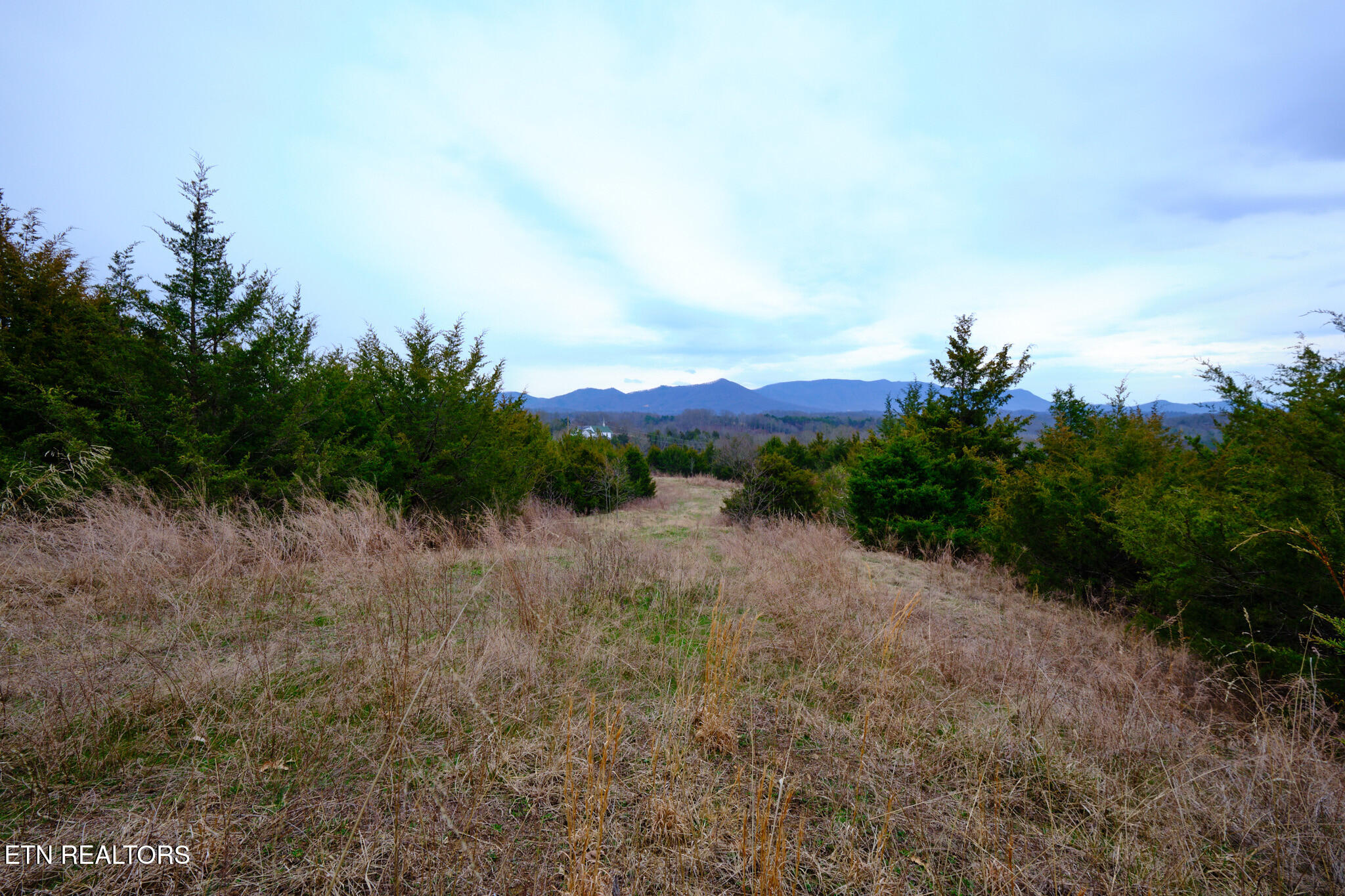 1430 Swannsylvania Road Dandridge TN 37725