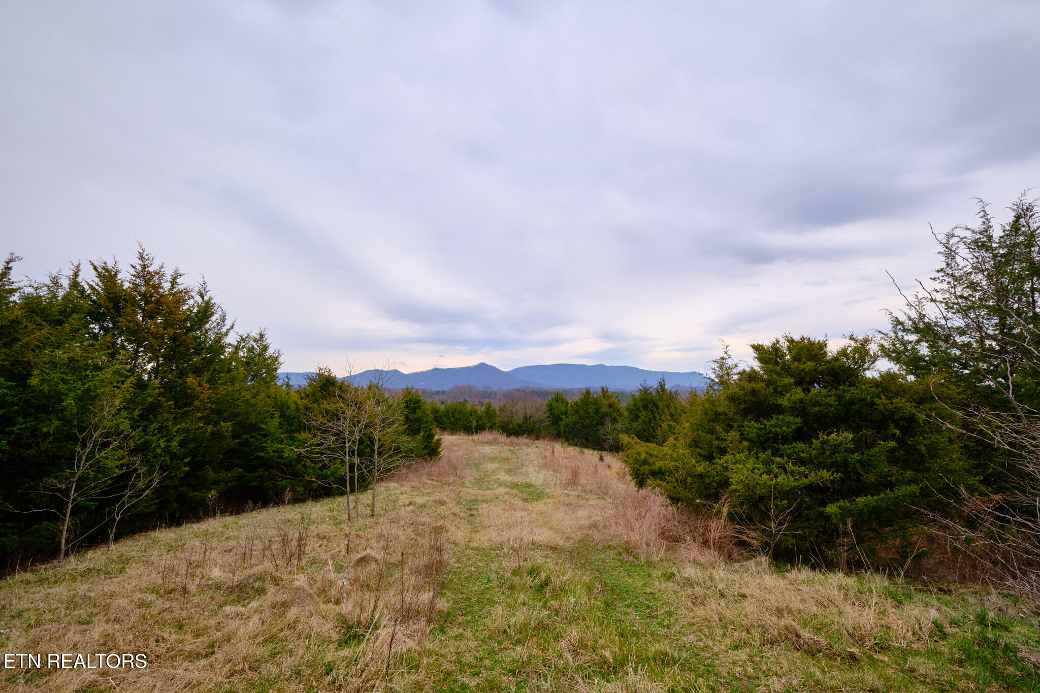 1430 Swannsylvania Road Dandridge TN 37725