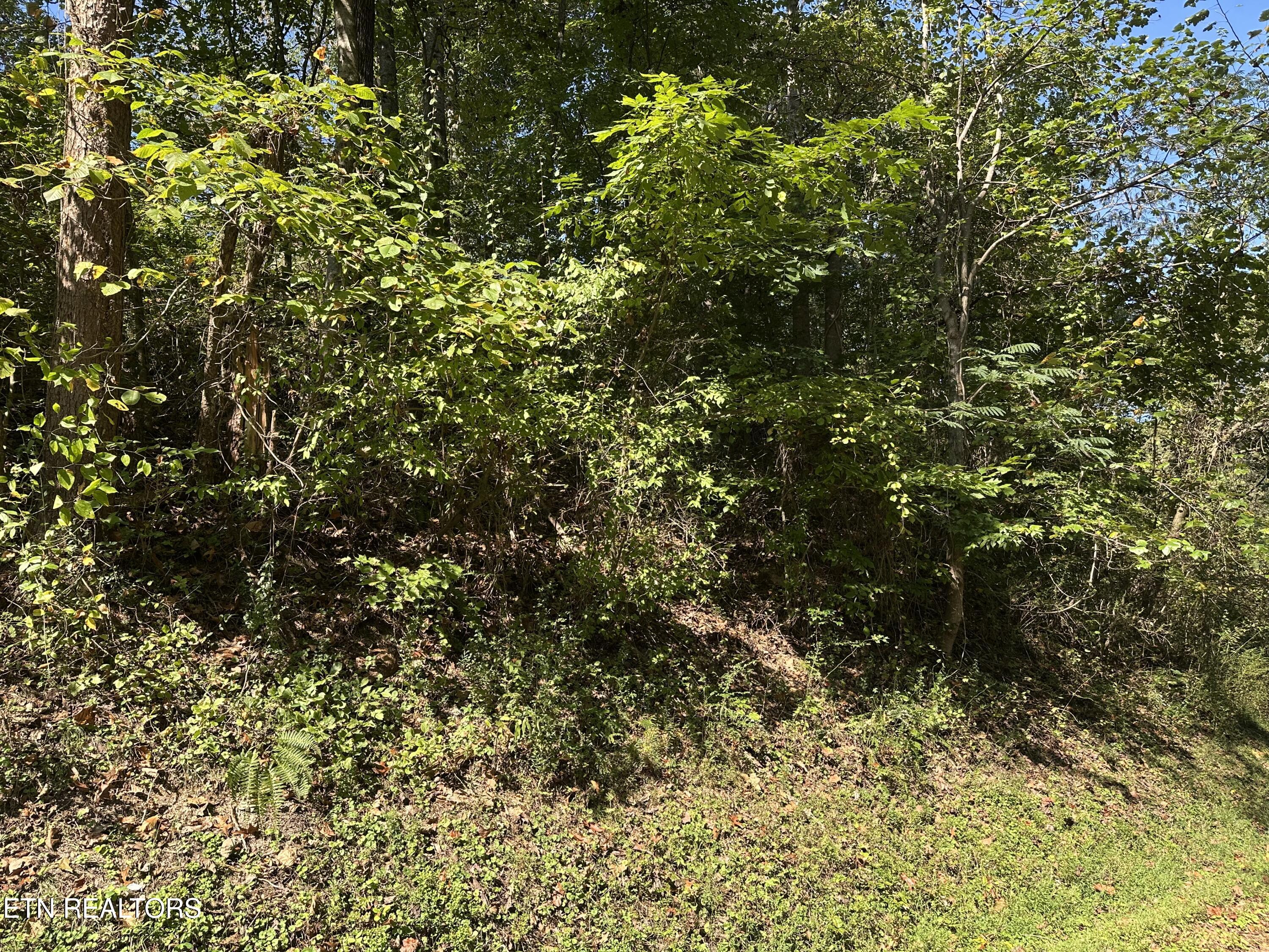 Lot 12 Hickory Hill Drive Lafollette TN 37766