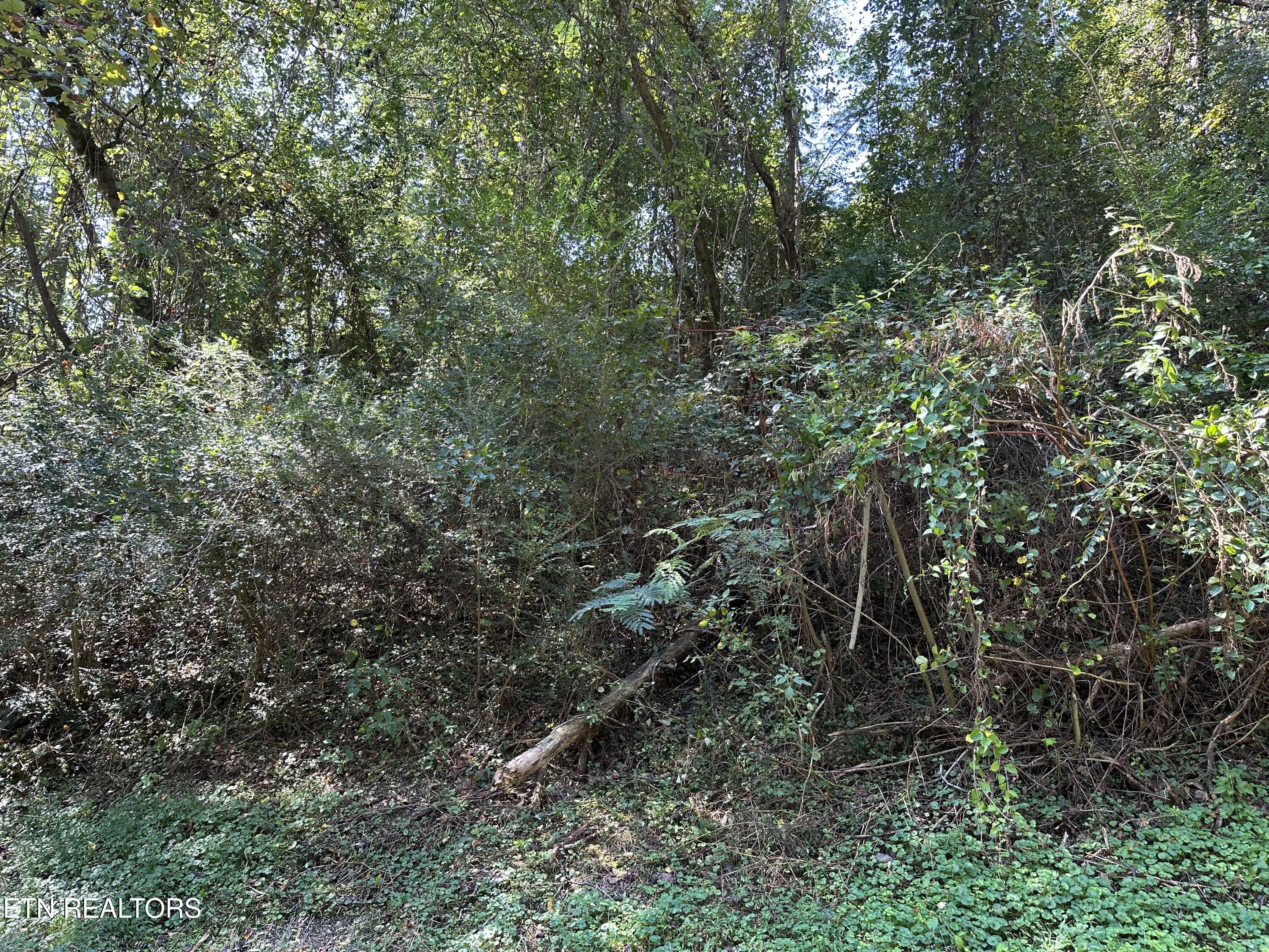Lot 12 Hickory Hill Drive Lafollette TN 37766