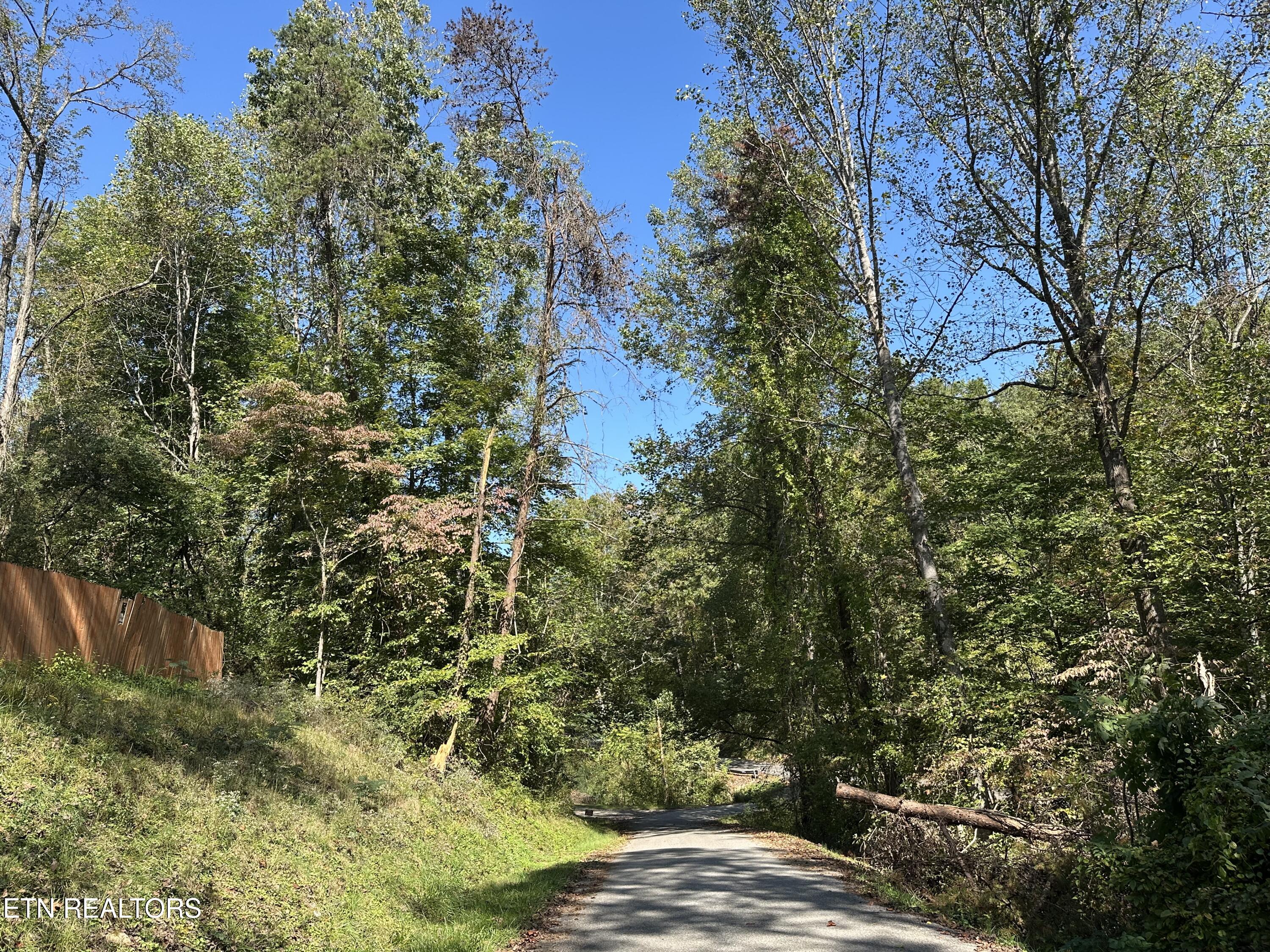 Lot 12 Hickory Hill Drive Lafollette TN 37766