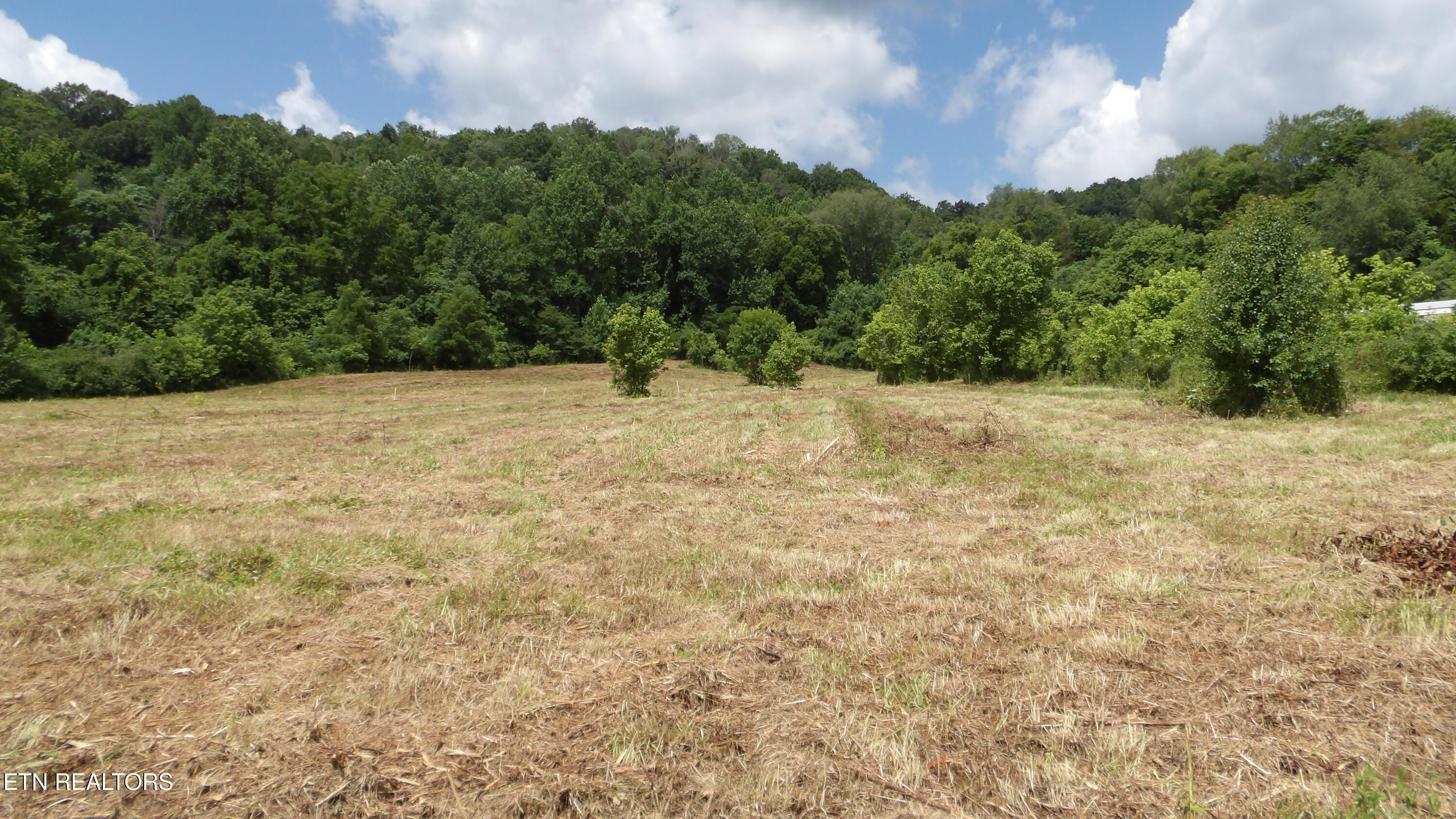 5.6 Ac Lonnie Reecer Road Celina TN 38551