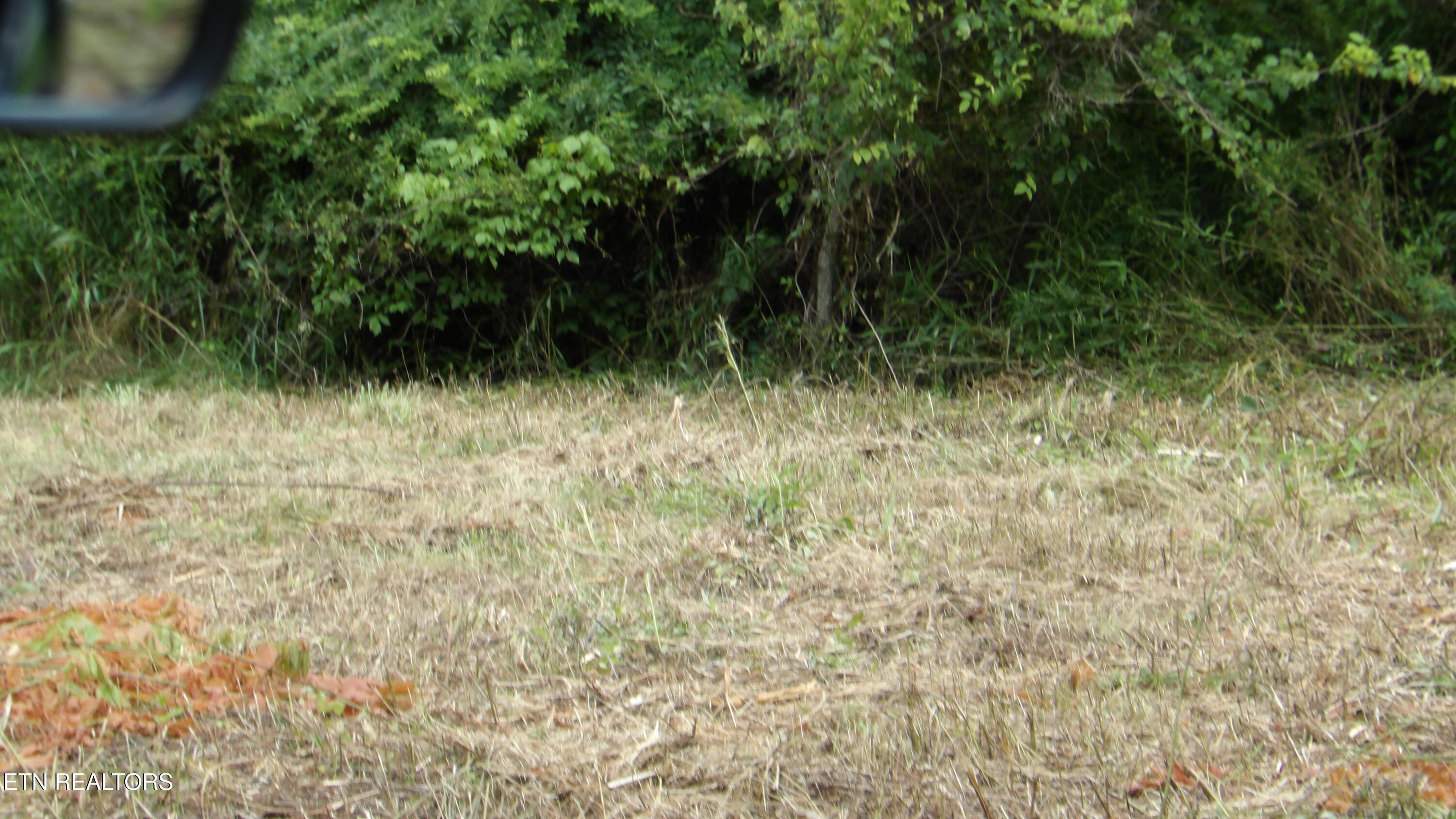 5.6 Ac Lonnie Reecer Road Celina TN 38551