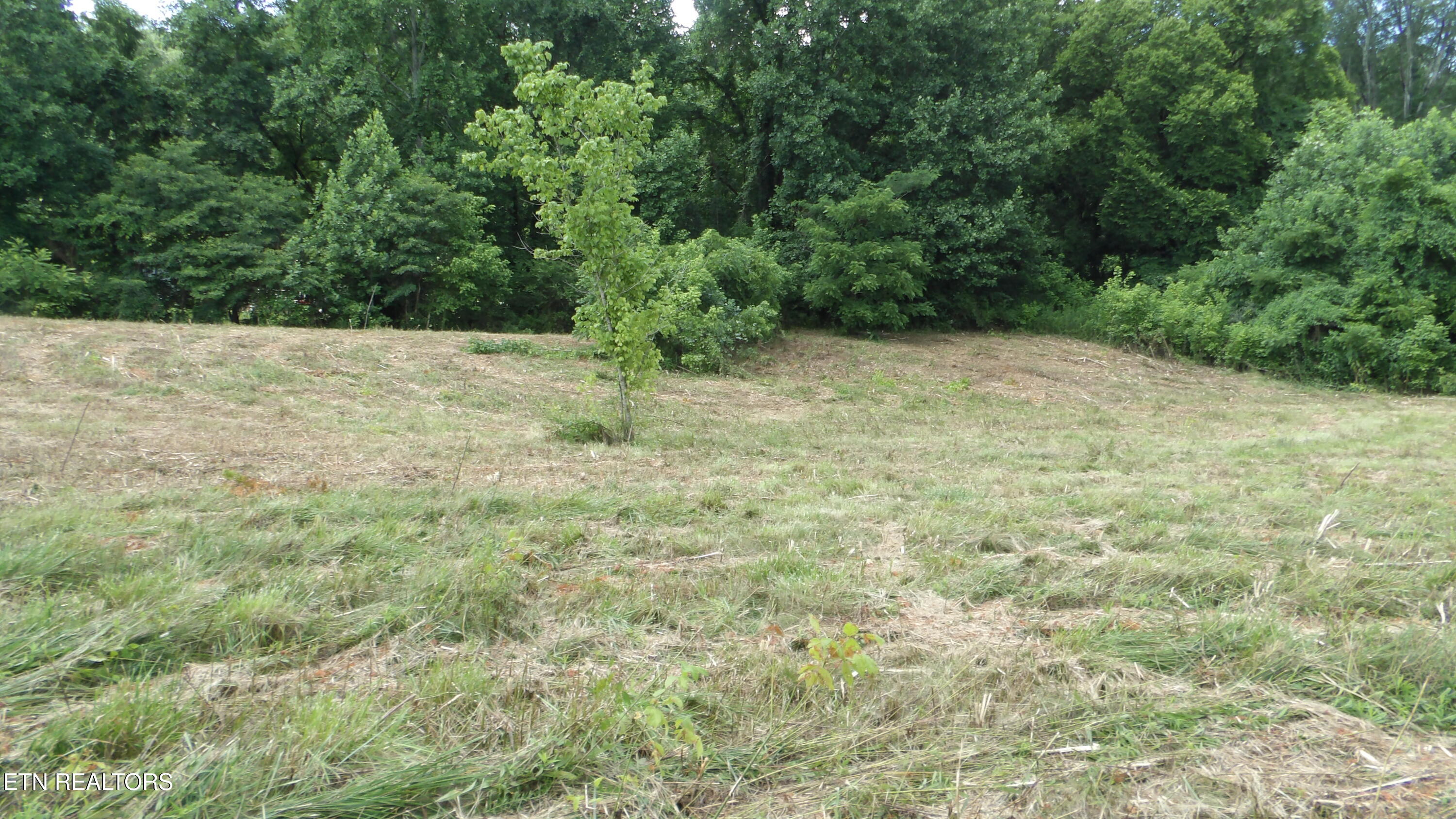 5.6 Ac Lonnie Reecer Road Celina TN 38551