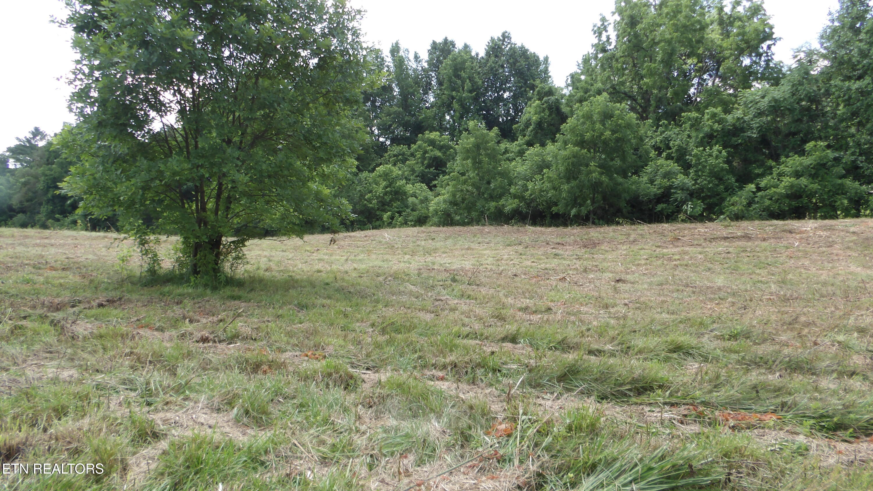 5.6 Ac Lonnie Reecer Road Celina TN 38551