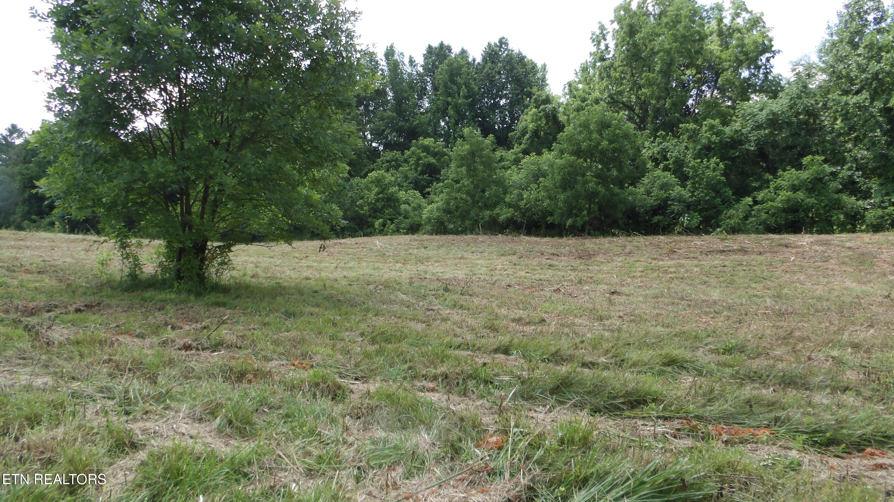 5.6 Ac Lonnie Reecer Road Celina TN 38551