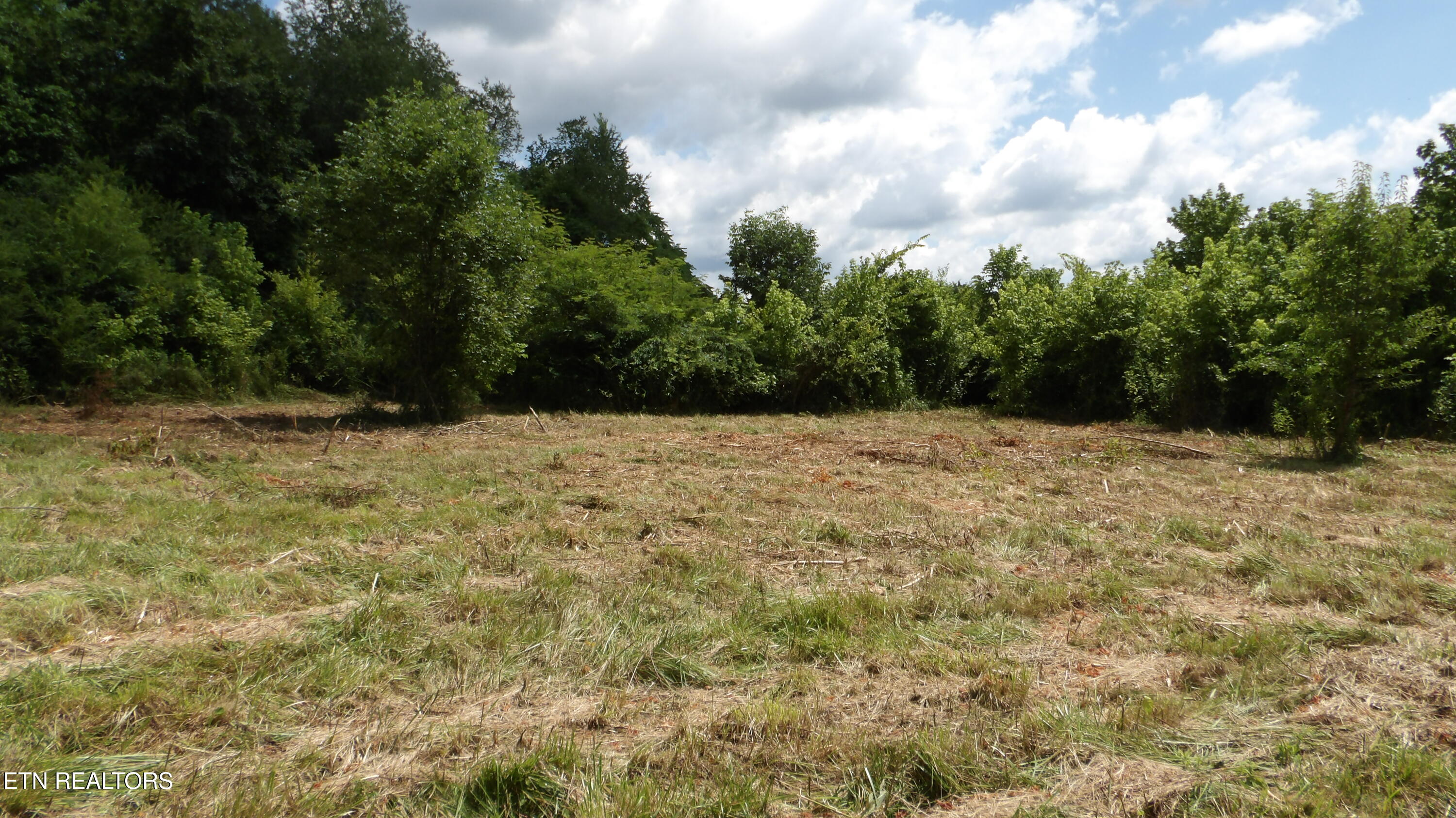 5.6 Ac Lonnie Reecer Road Celina TN 38551