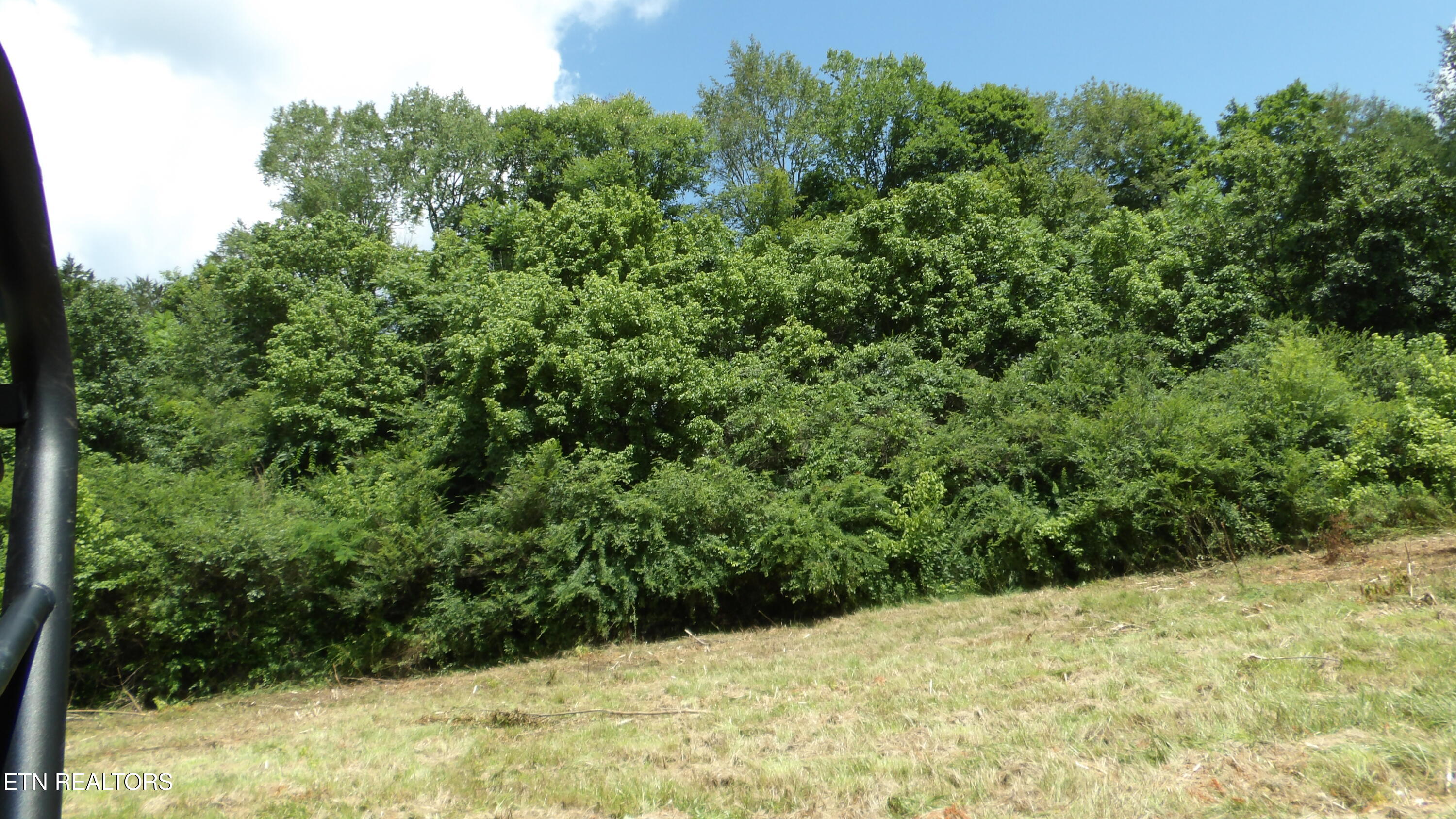 5.6 Ac Lonnie Reecer Road Celina TN 38551