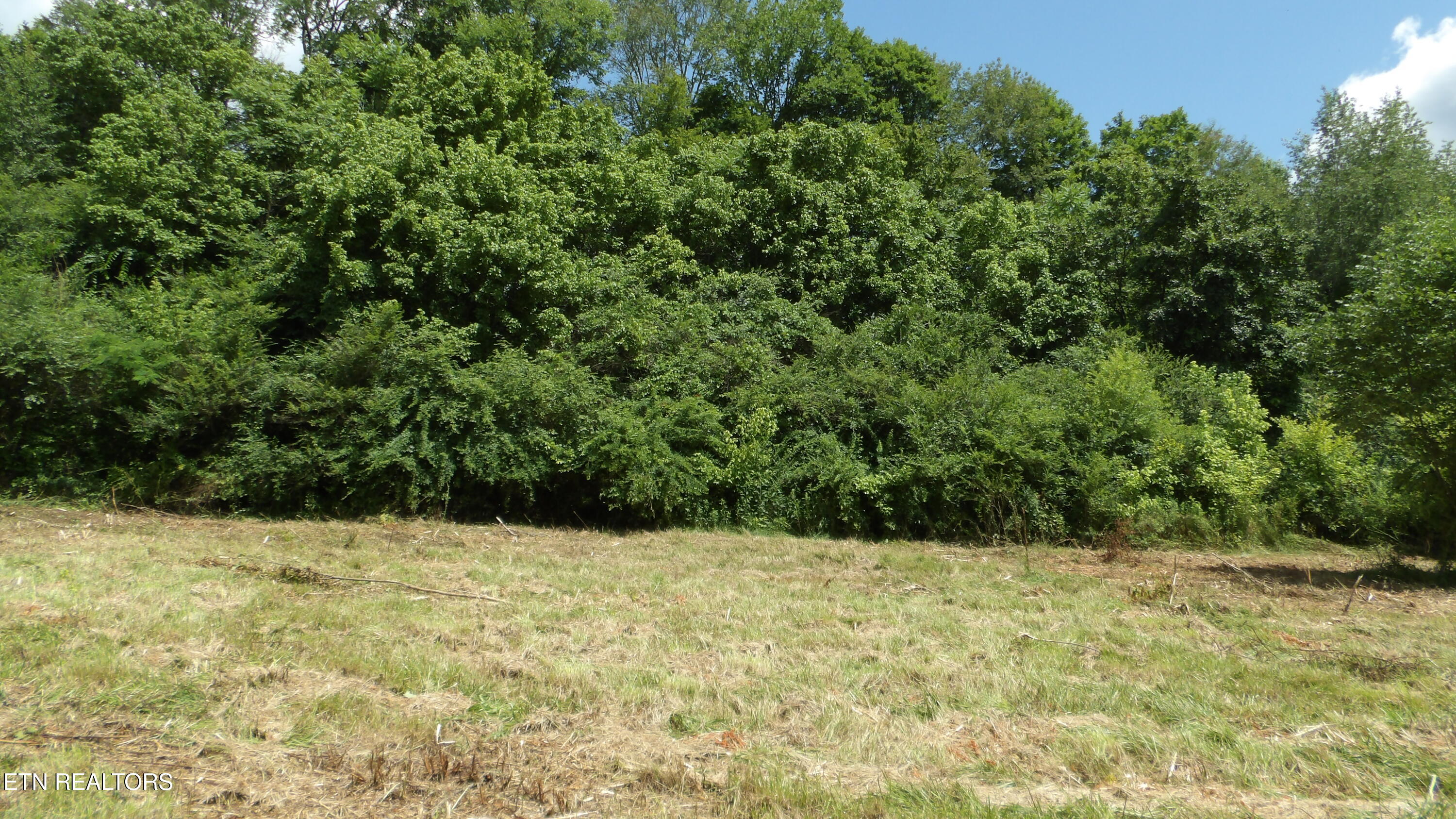 5.6 Ac Lonnie Reecer Road Celina TN 38551