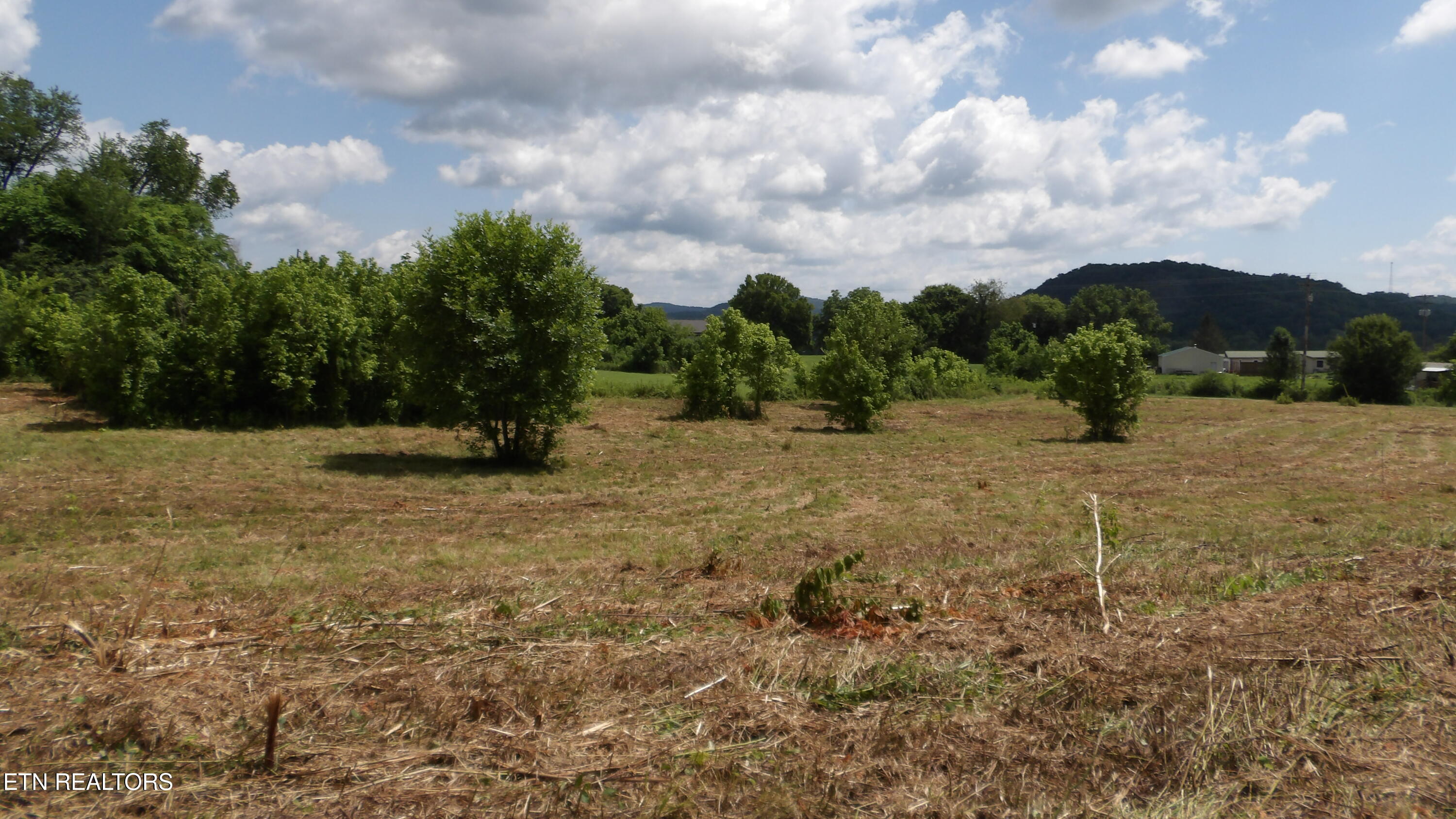 5.6 Ac Lonnie Reecer Road Celina TN 38551