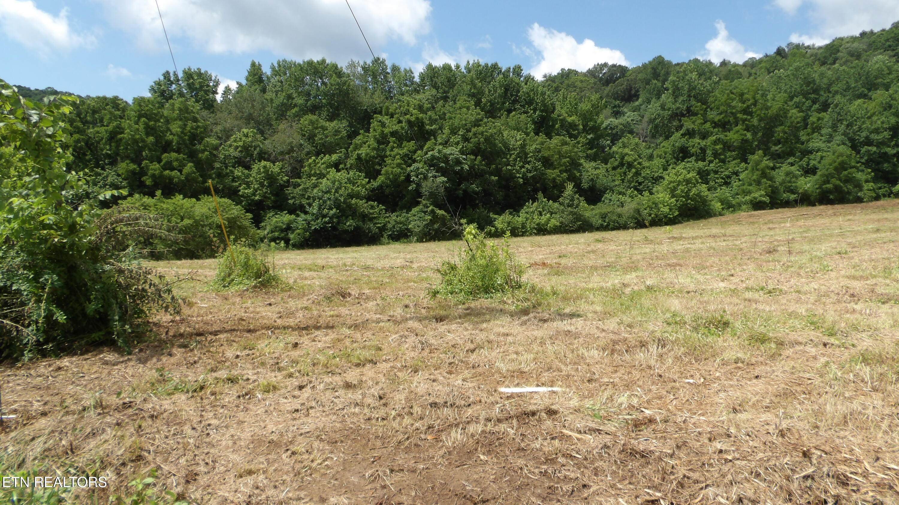 5.6 Ac Lonnie Reecer Road Celina TN 38551