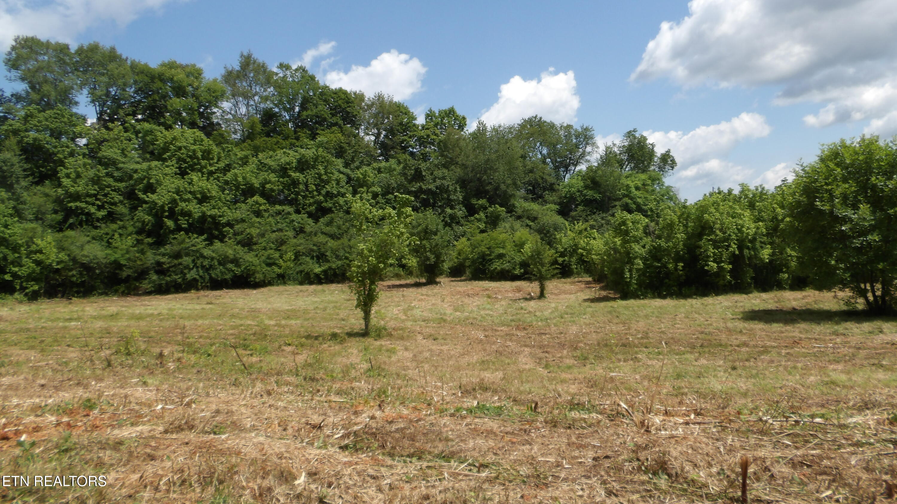 5.6 Ac Lonnie Reecer Road Celina TN 38551