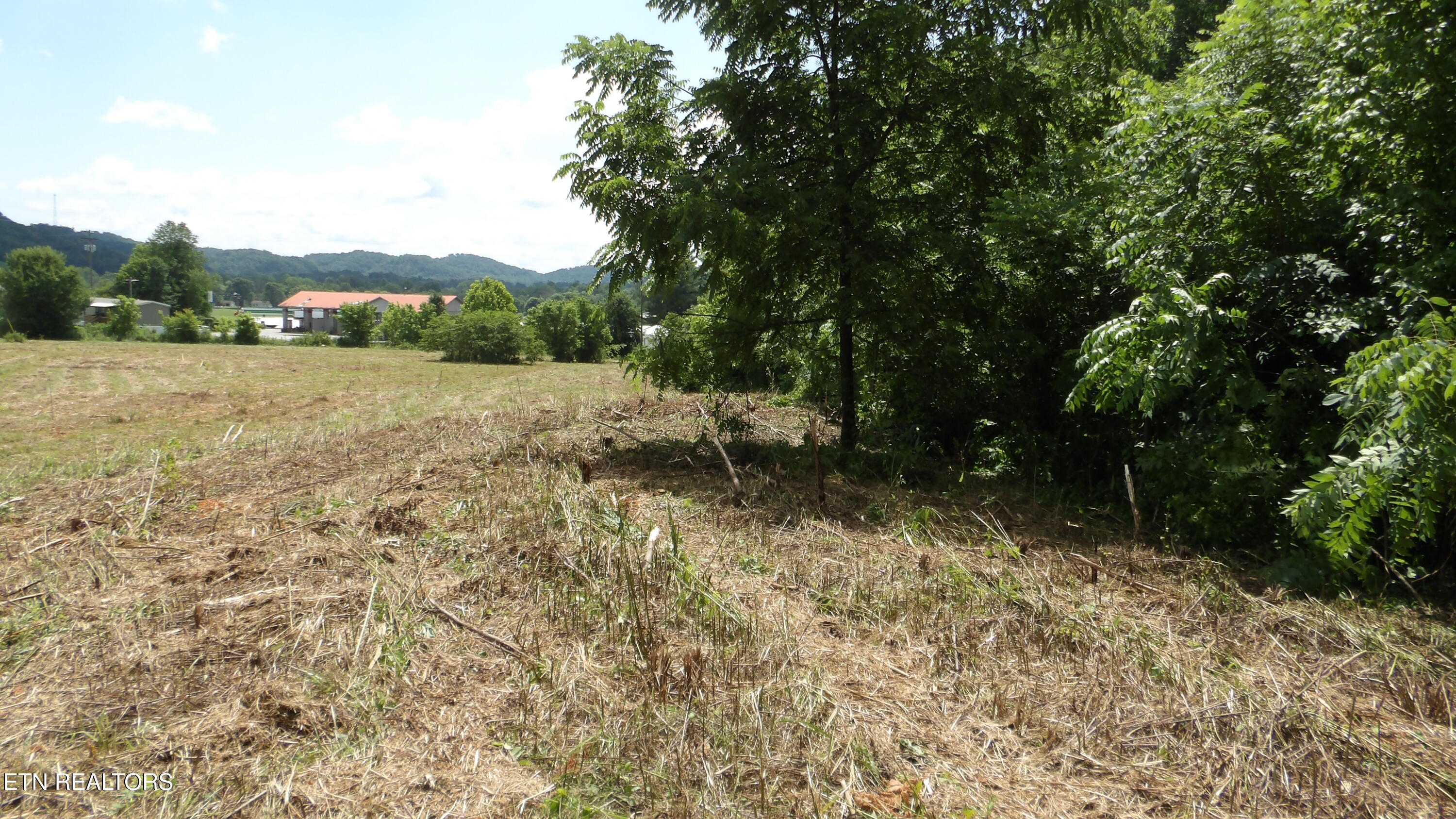 5.6 Ac Lonnie Reecer Road Celina TN 38551