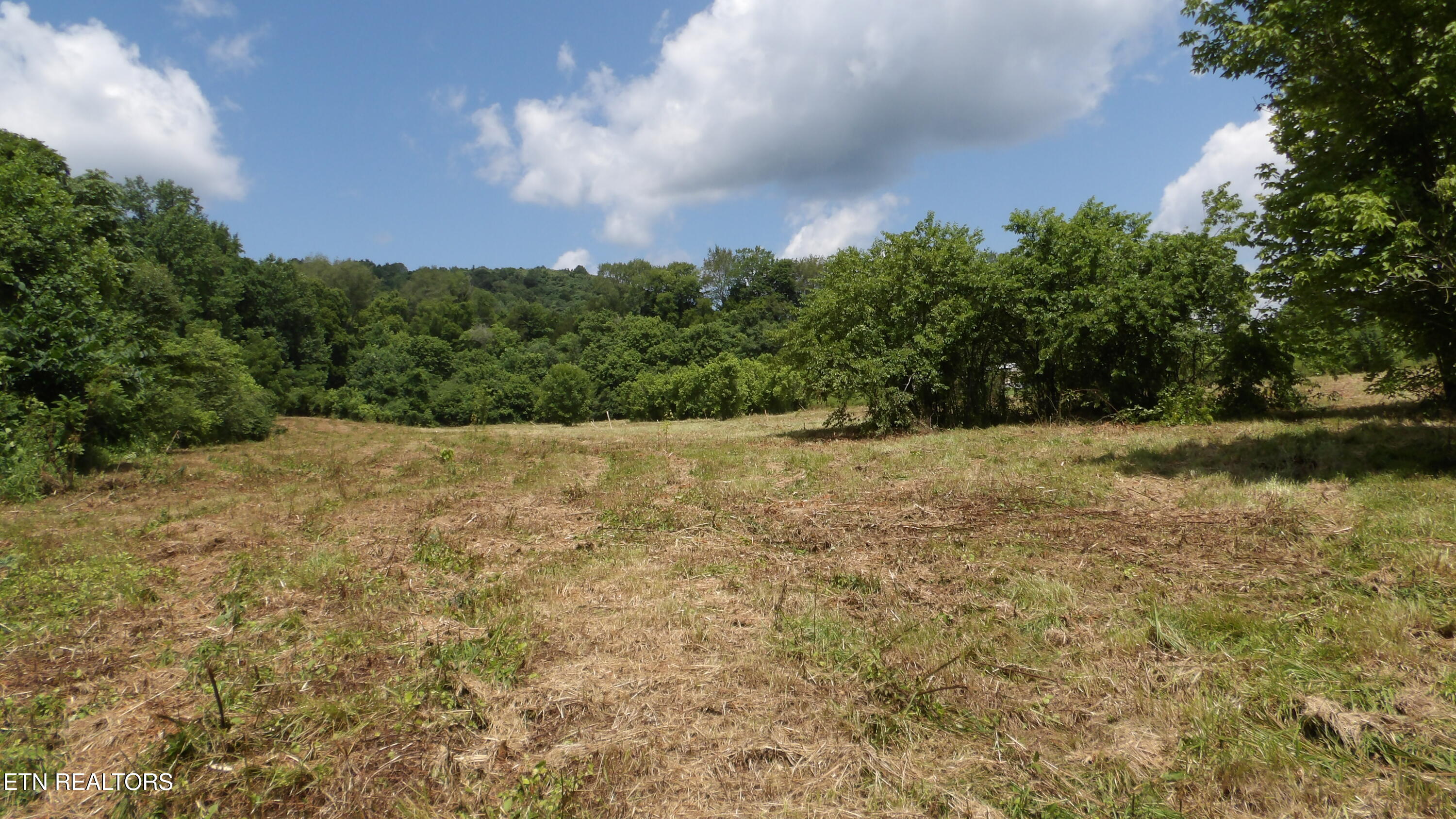 5.6 Ac Lonnie Reecer Road Celina TN 38551