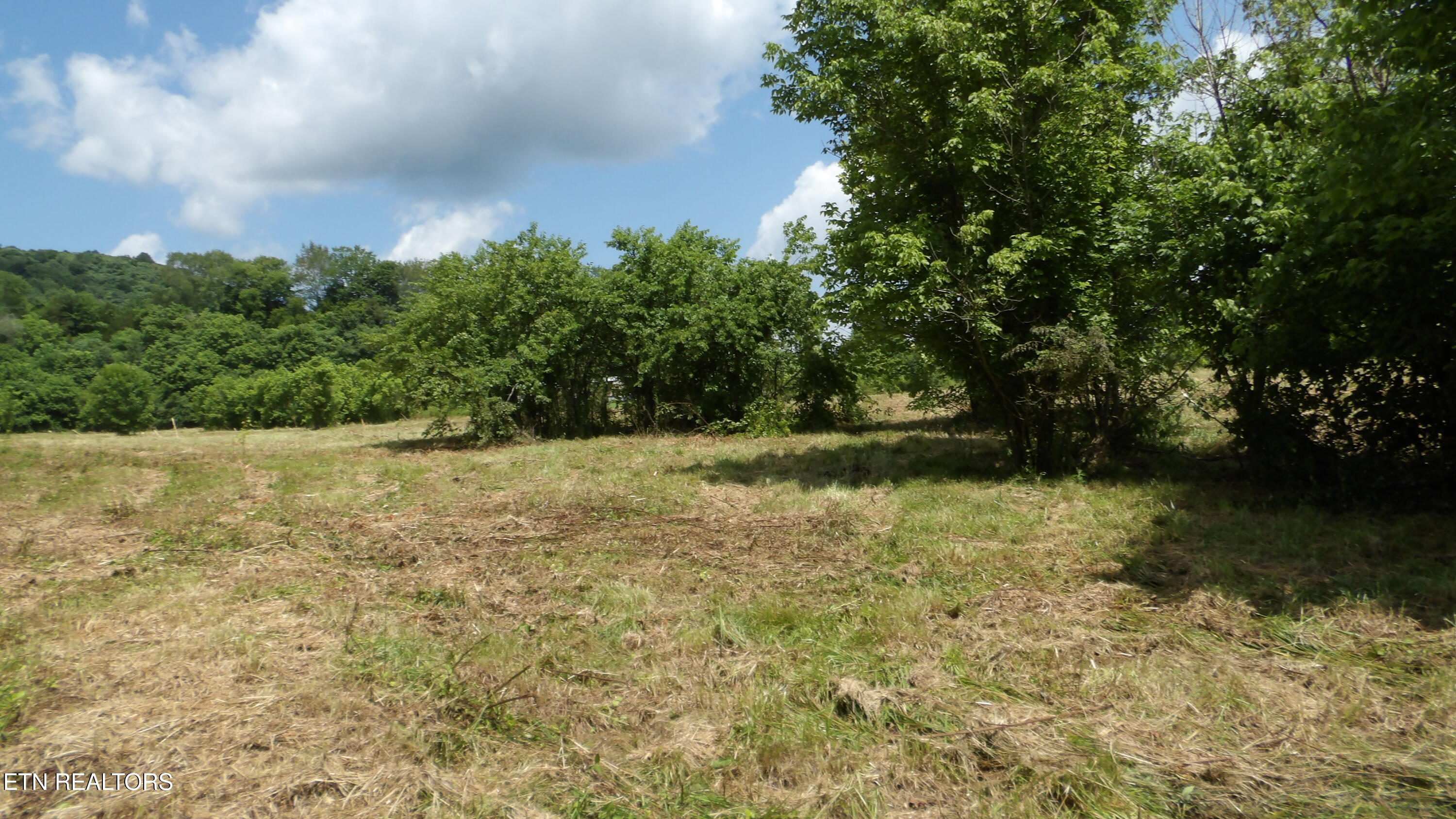 5.6 Ac Lonnie Reecer Road Celina TN 38551