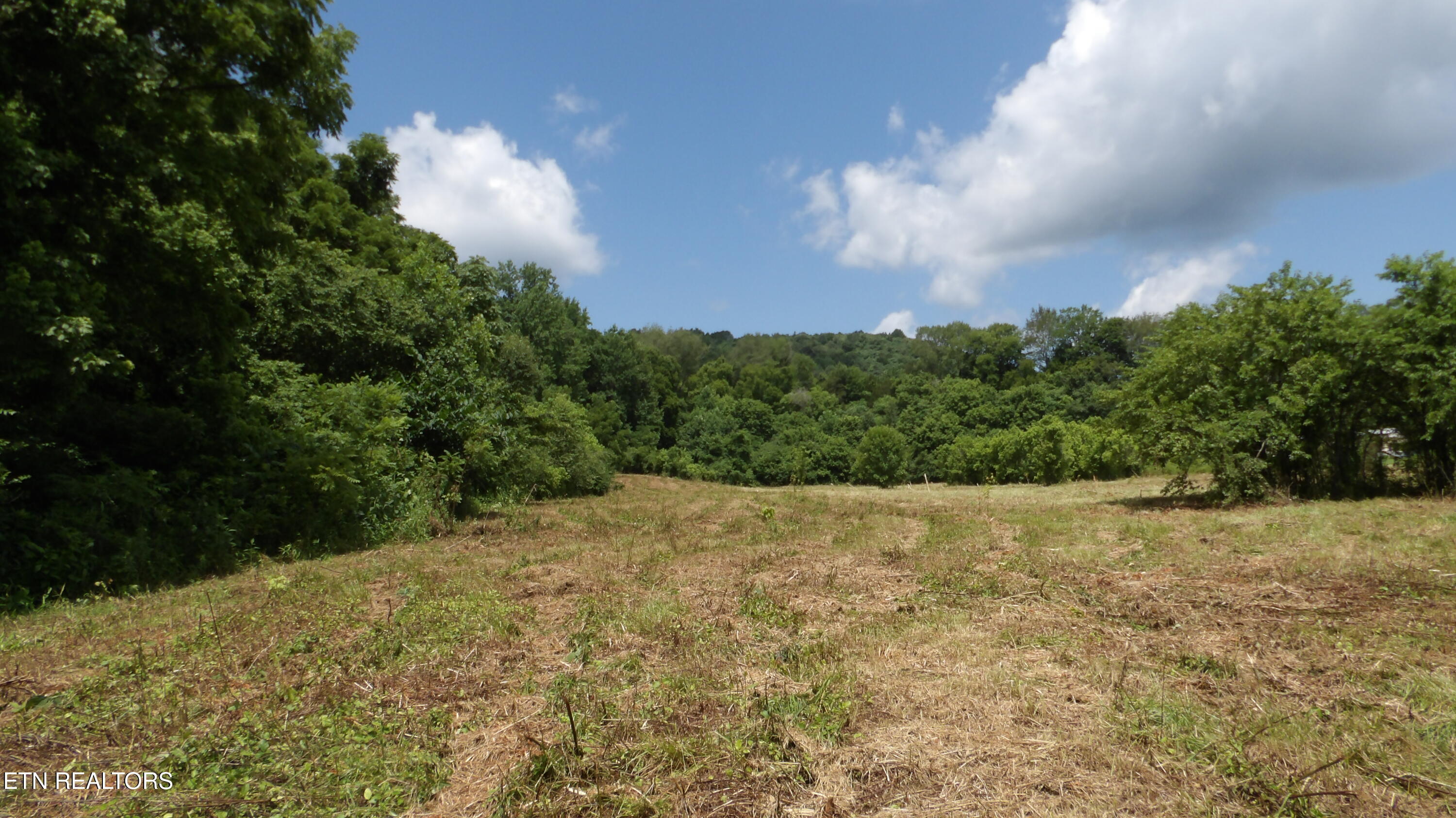 5.6 Ac Lonnie Reecer Road Celina TN 38551