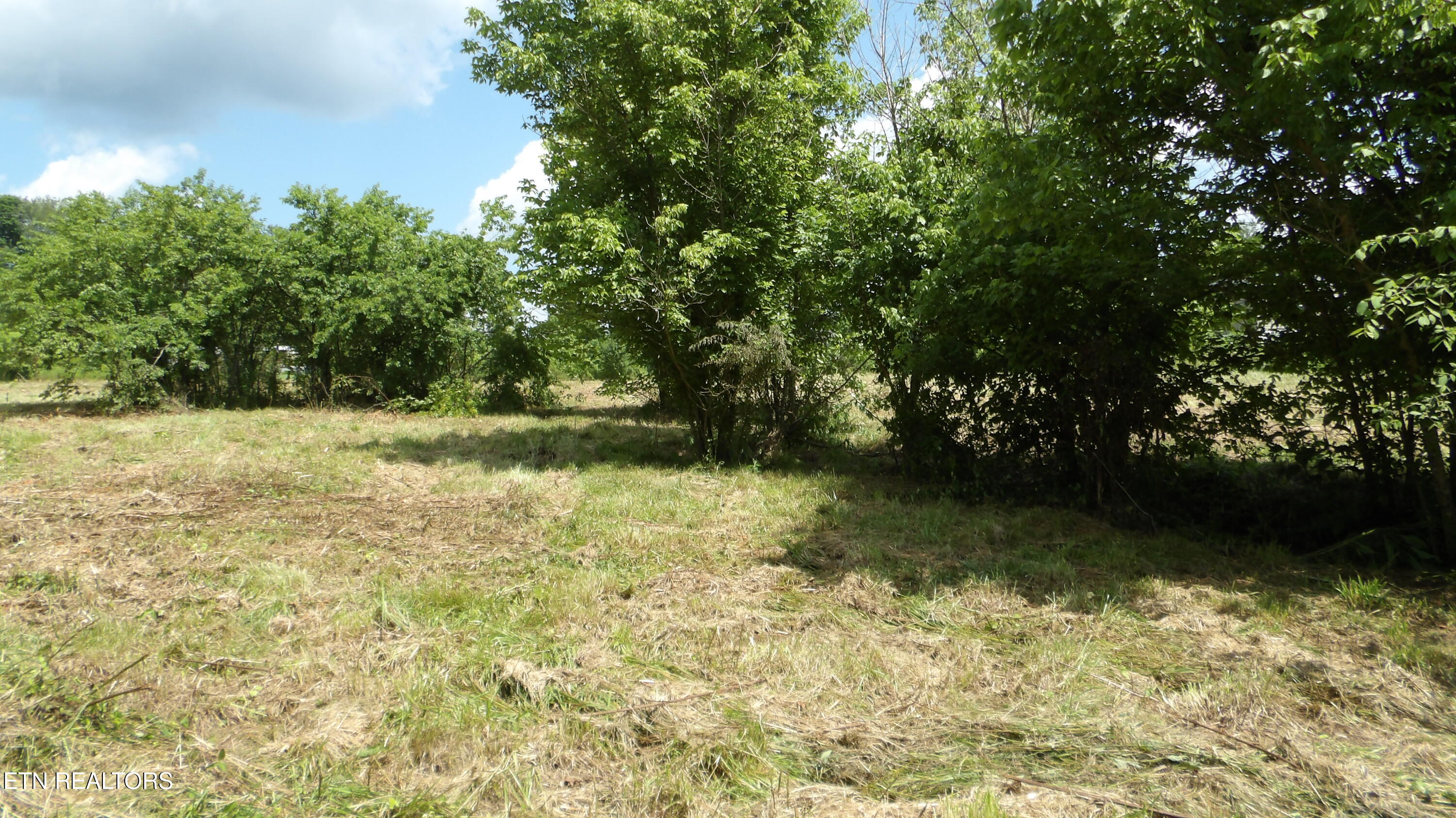 5.6 Ac Lonnie Reecer Road Celina TN 38551