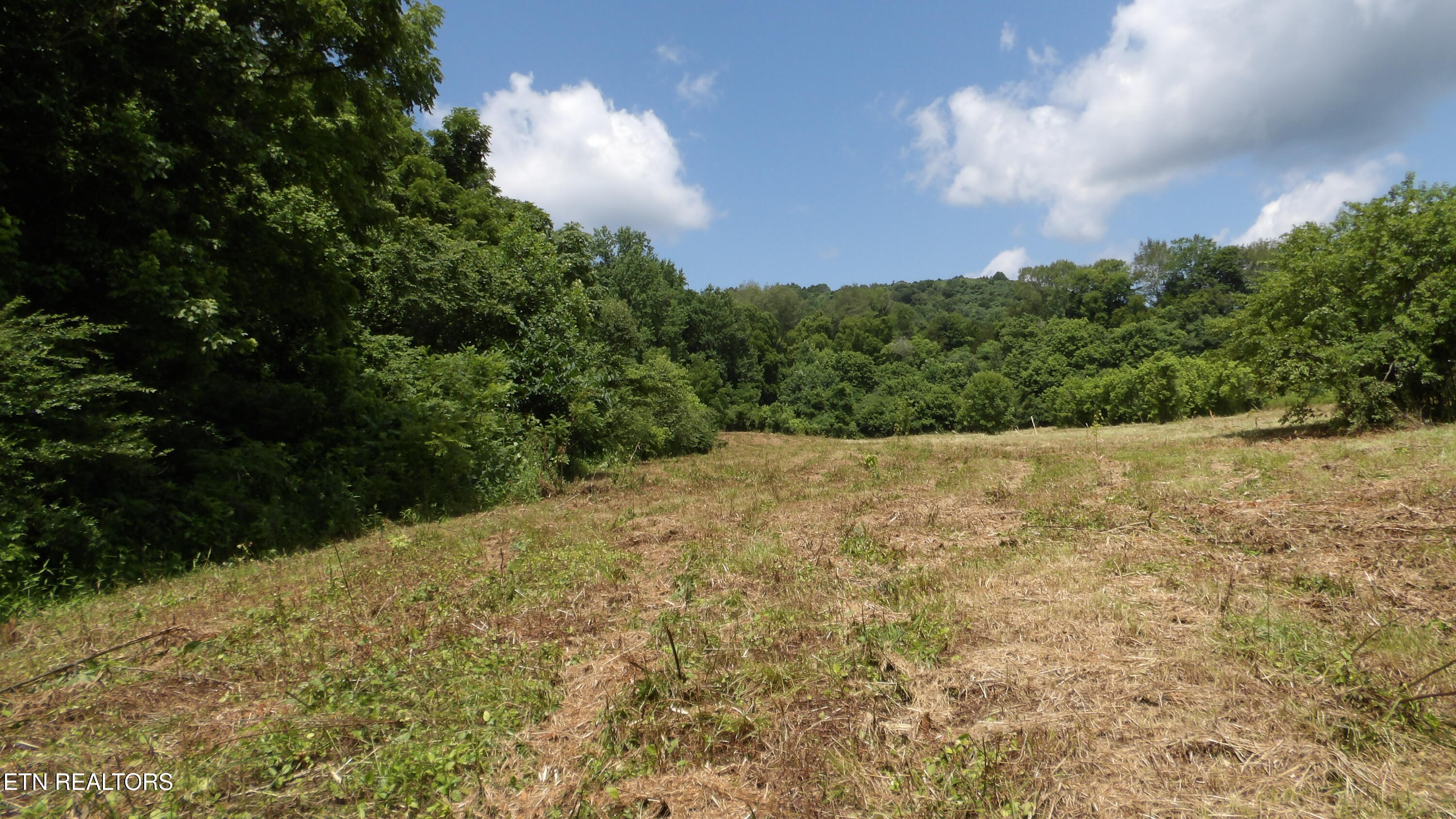 5.6 Ac Lonnie Reecer Road Celina TN 38551