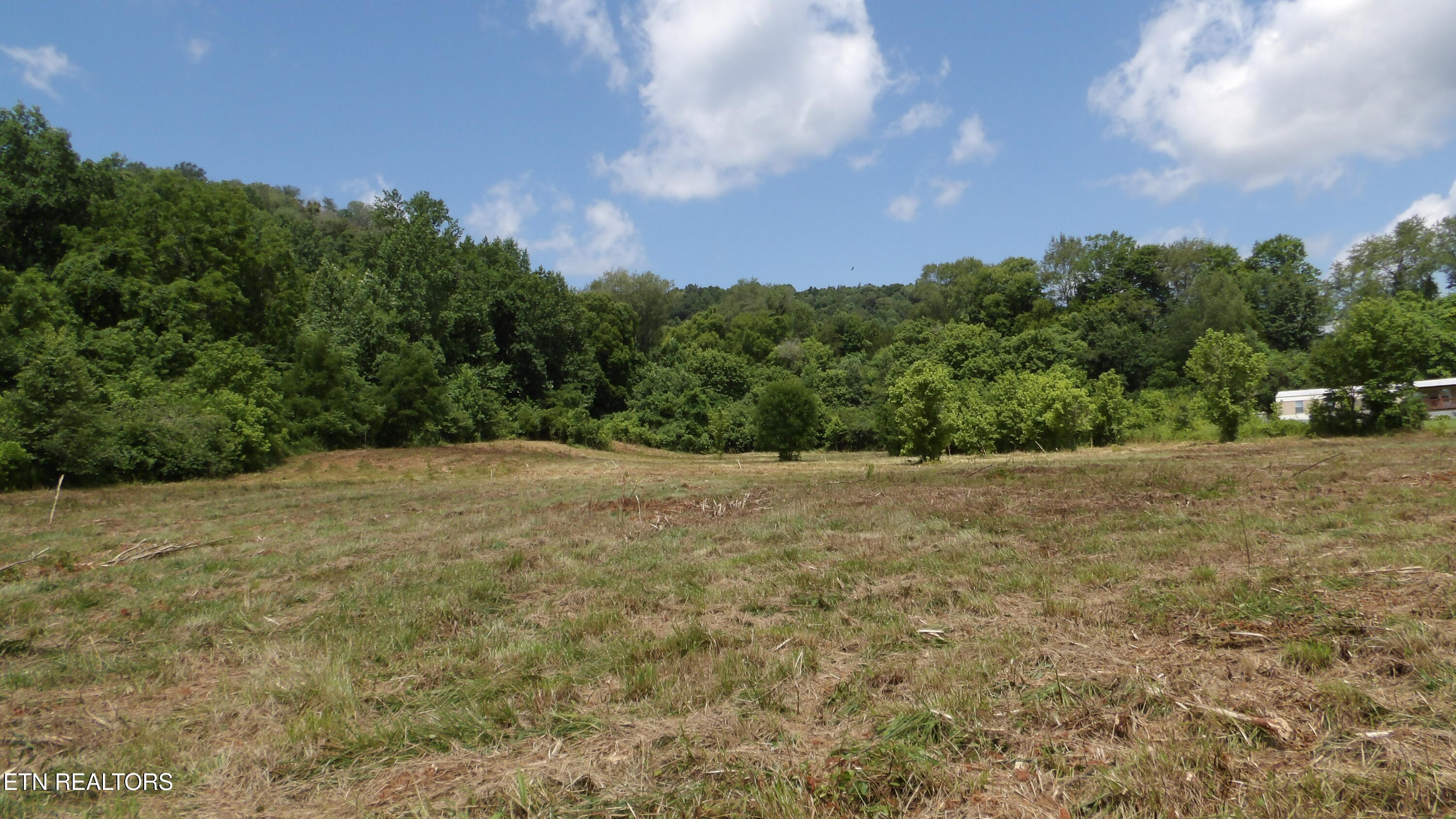 5.6 Ac Lonnie Reecer Road Celina TN 38551