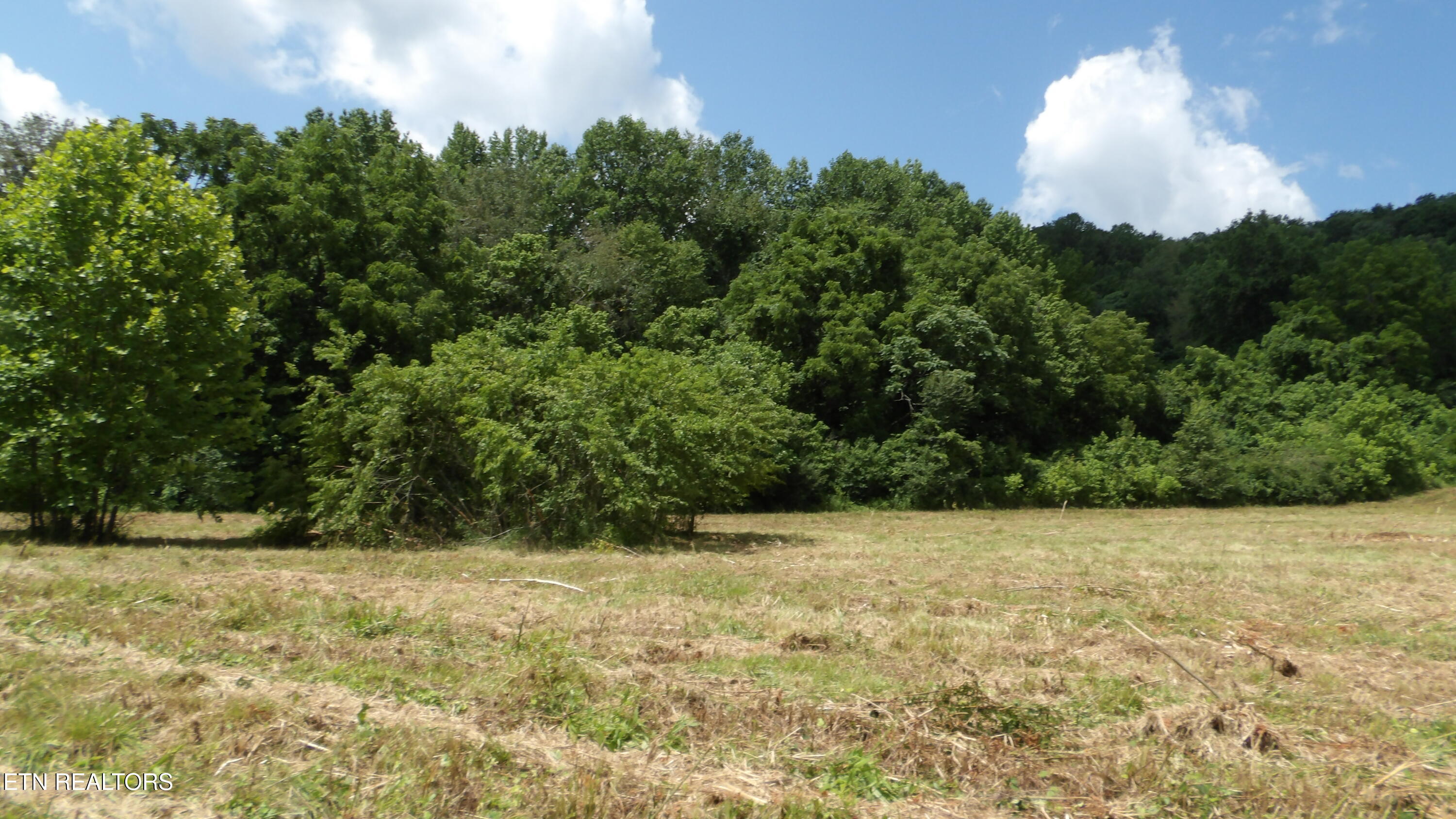 5.6 Ac Lonnie Reecer Road Celina TN 38551